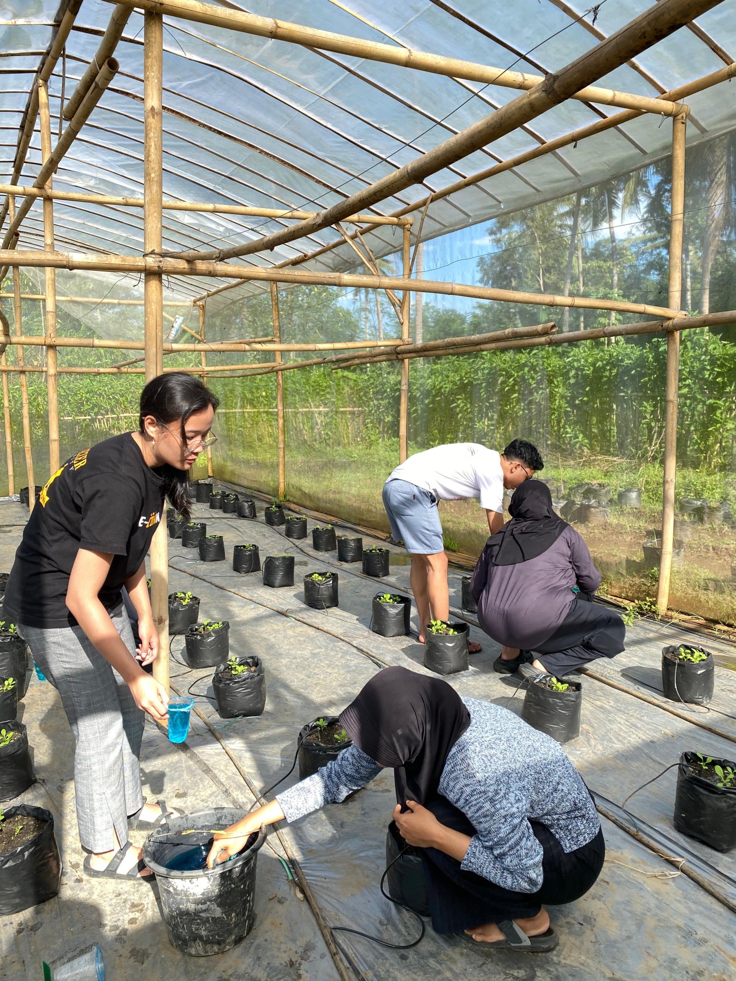 Kegiatan KKN Unsoed di Desa Plana pada Hari Ke-23