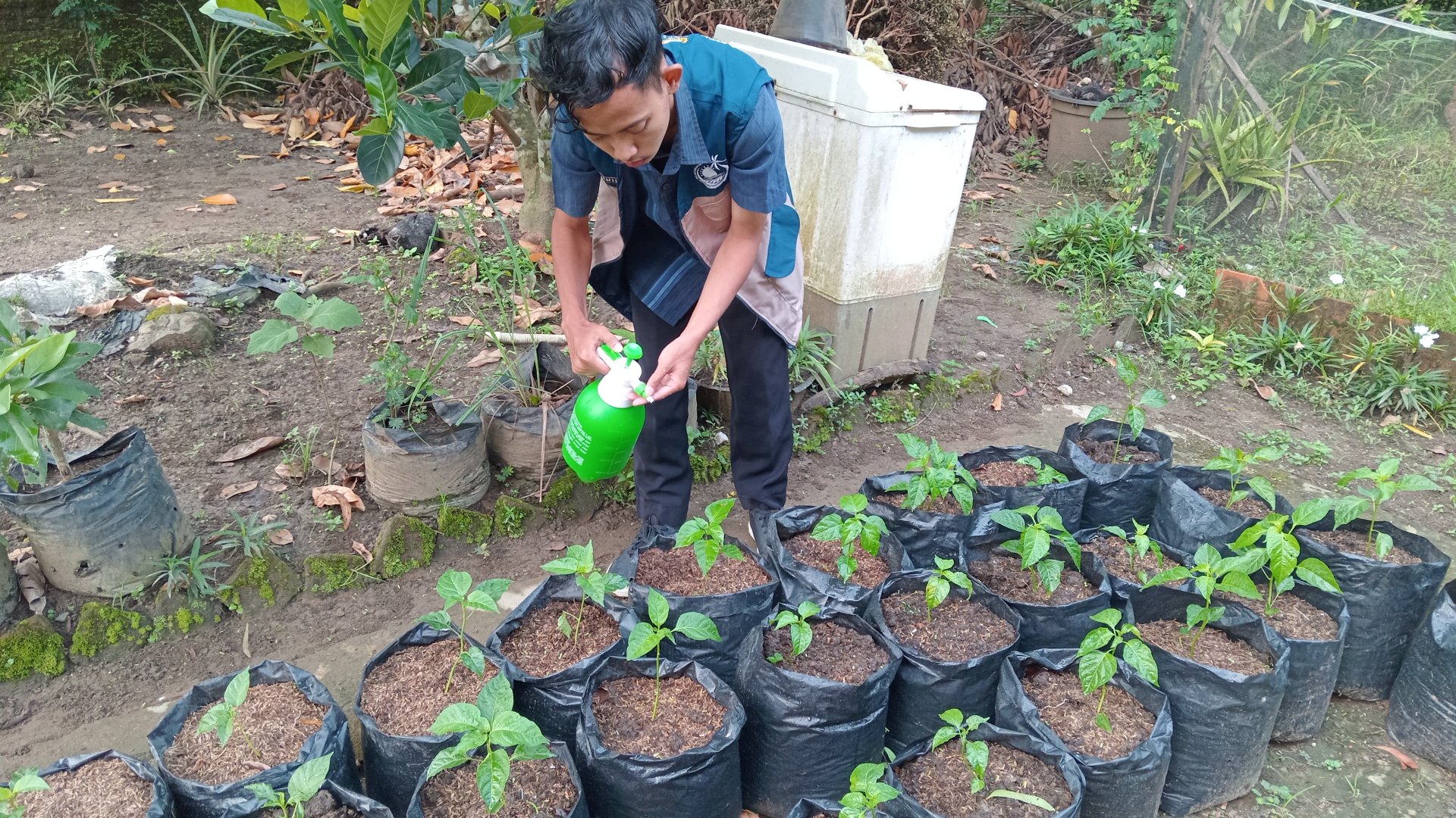 Monitoring dan Evaluasi Ke-3 Program "Rumah Hijau Terpadu"