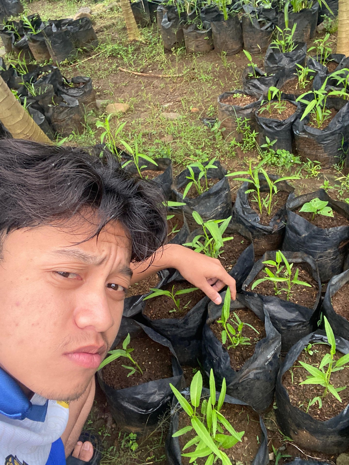 Monitoring lahan kwt