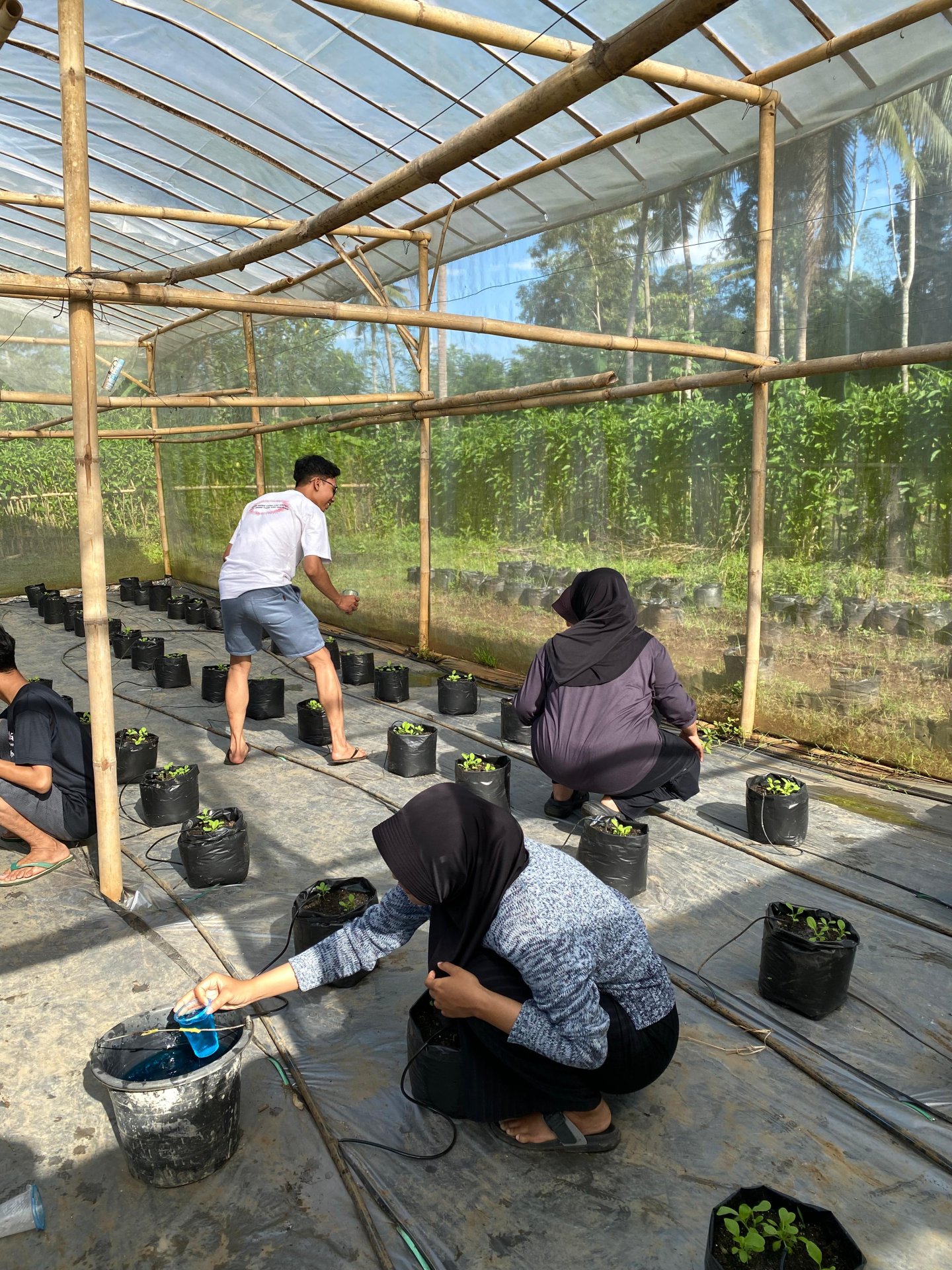 Kegiatan KKN di Hari 23