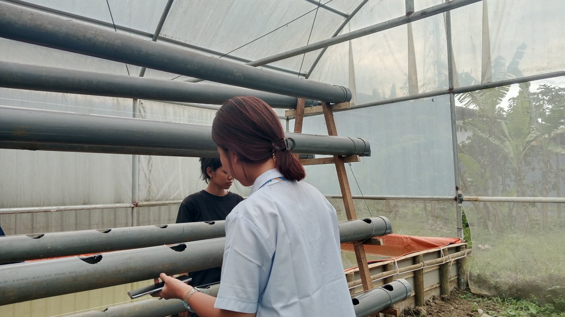 Pembuatan Hidroponik