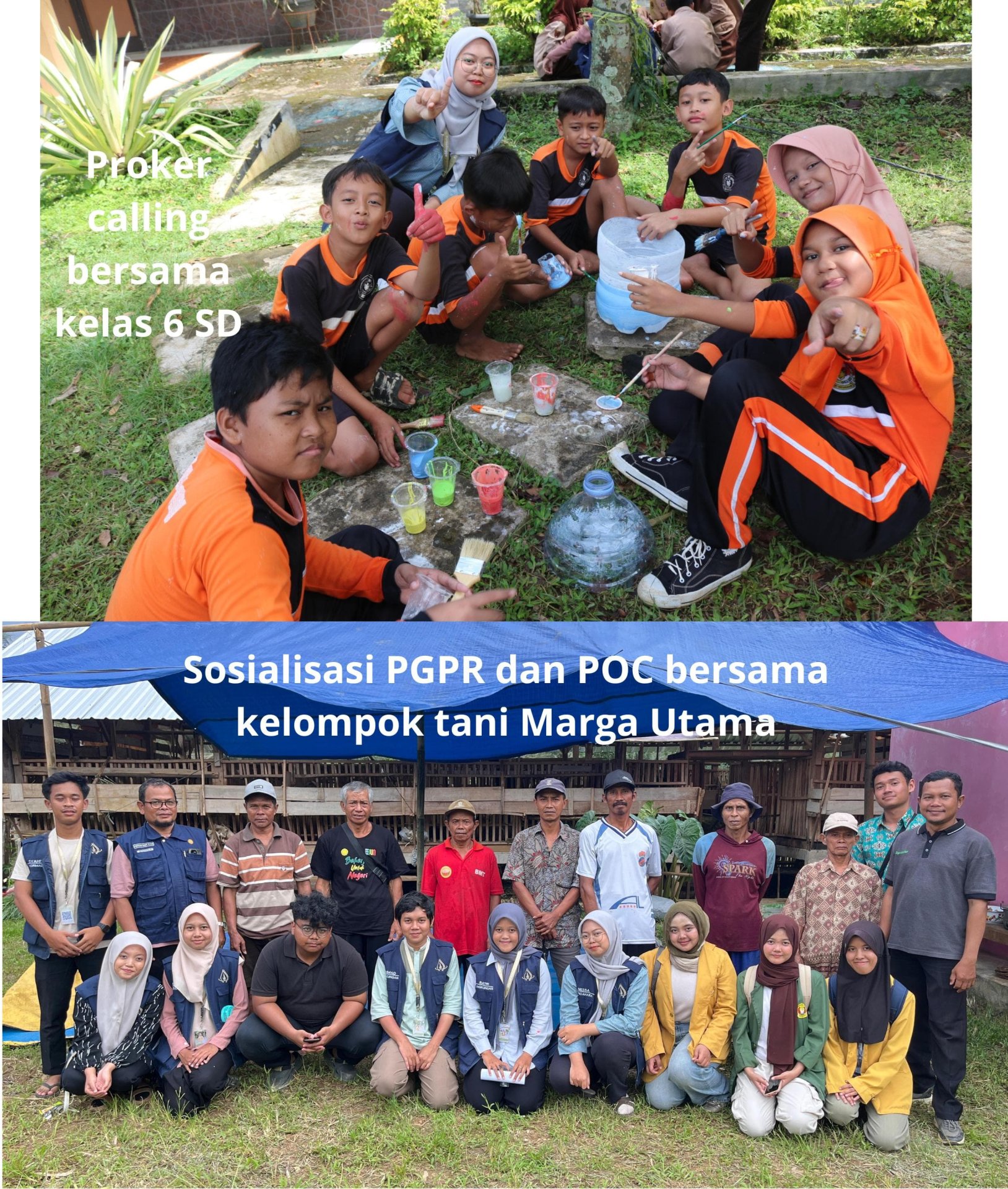 Proker Calling dan Sosialisasi PGPR & Pupuk Organik Cair