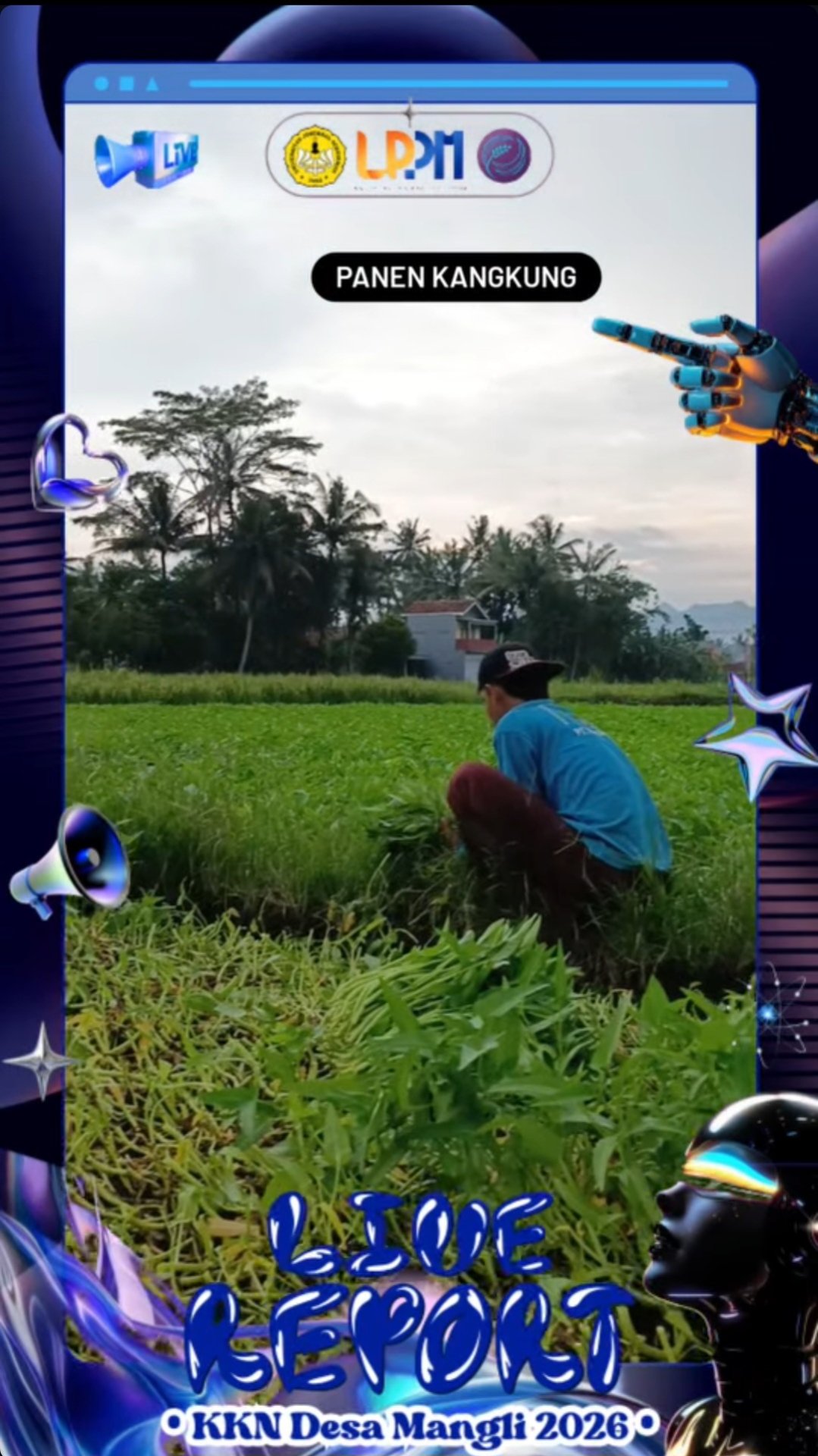 Hari ke-24: Panen Kangkung