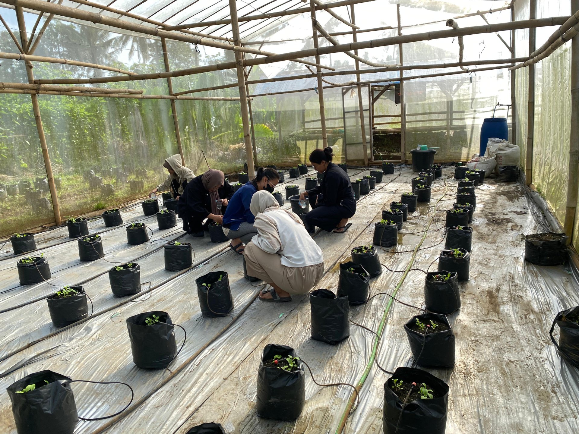 Kegiatan KKN Unsoed di Desa Plana pada Hari Ke-24