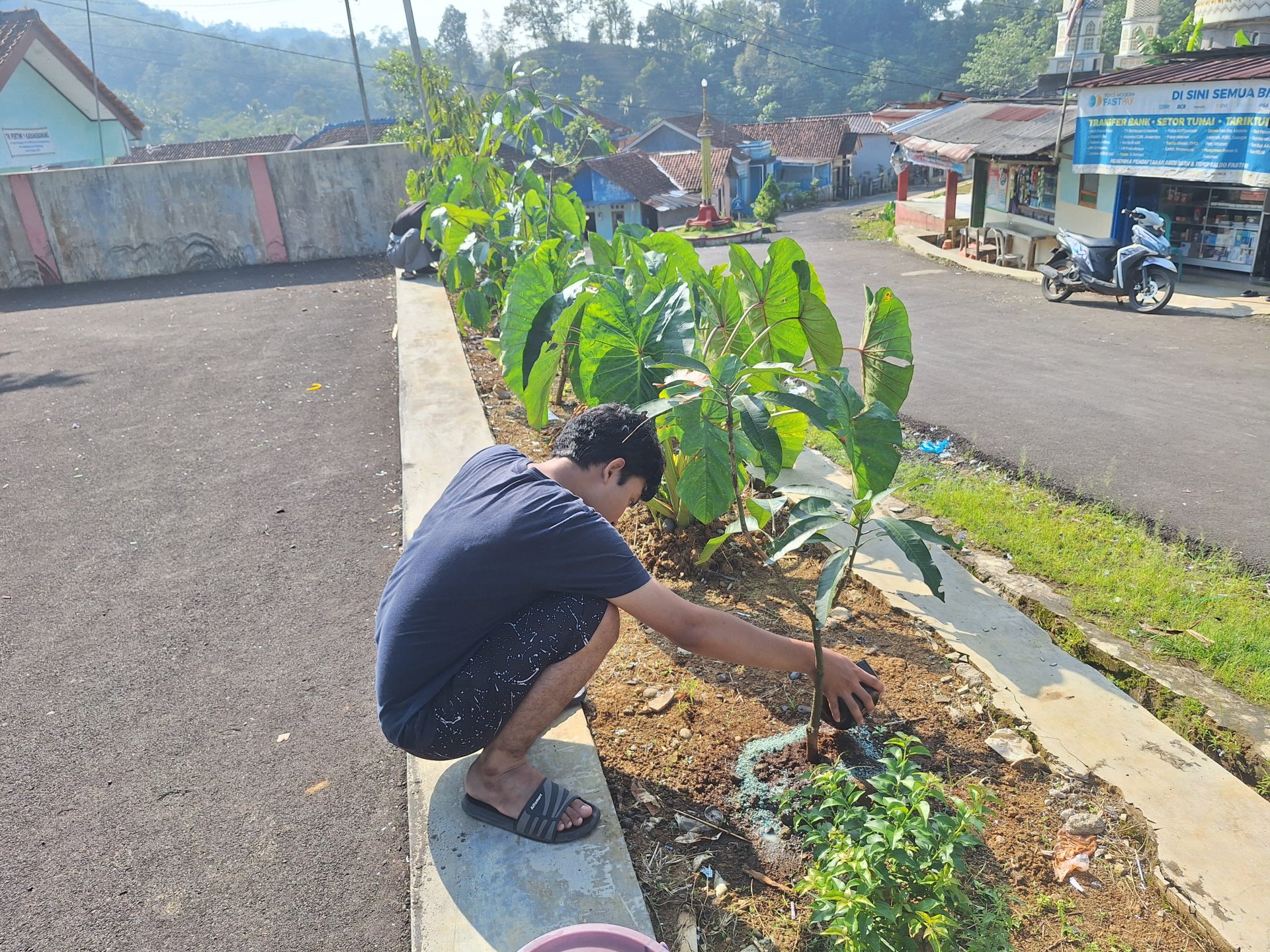 Monitoring multiguna dan cabai