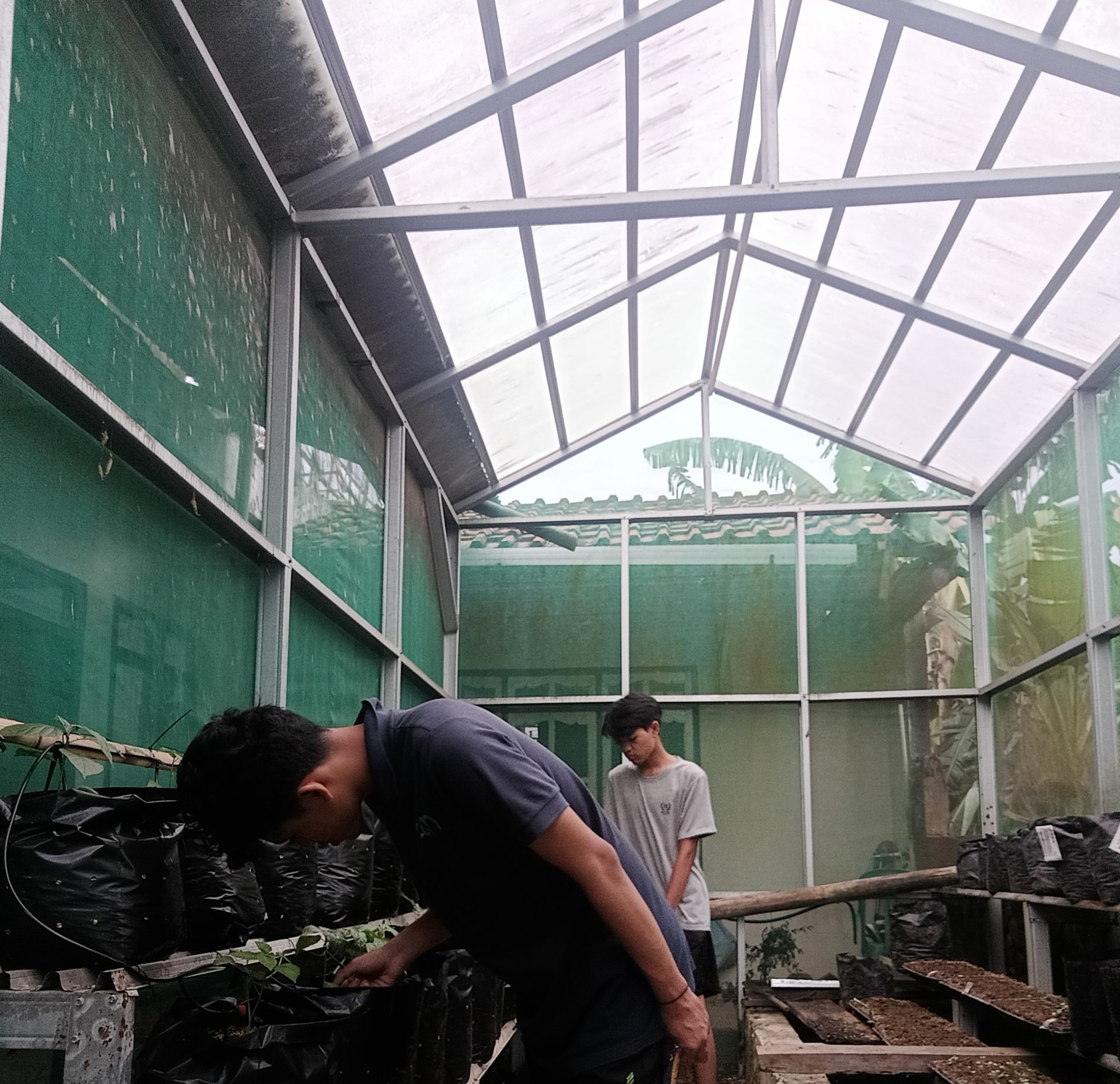 Kegiatan Hari Ke 25 | Demplot Pertanian