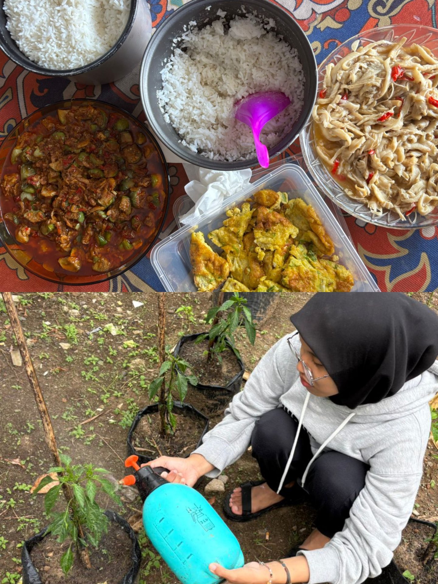 Piket Masak dan Monitoring Demplot