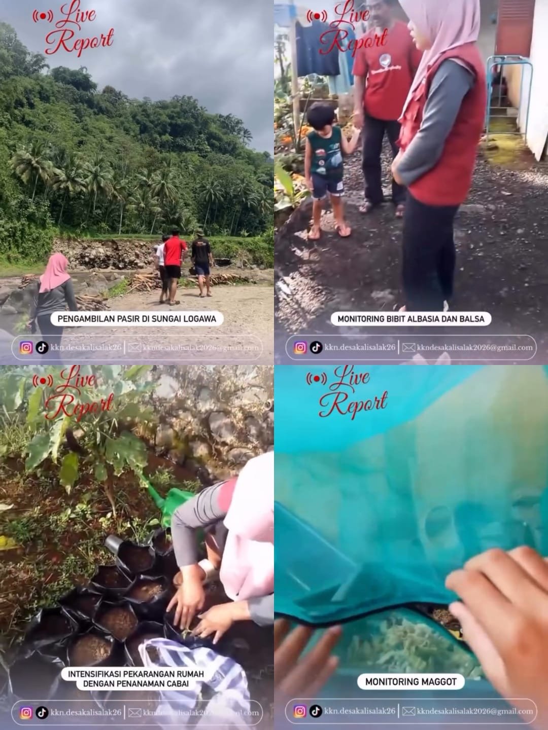 HARI KE 24 KKN DI DESA KALISALAK