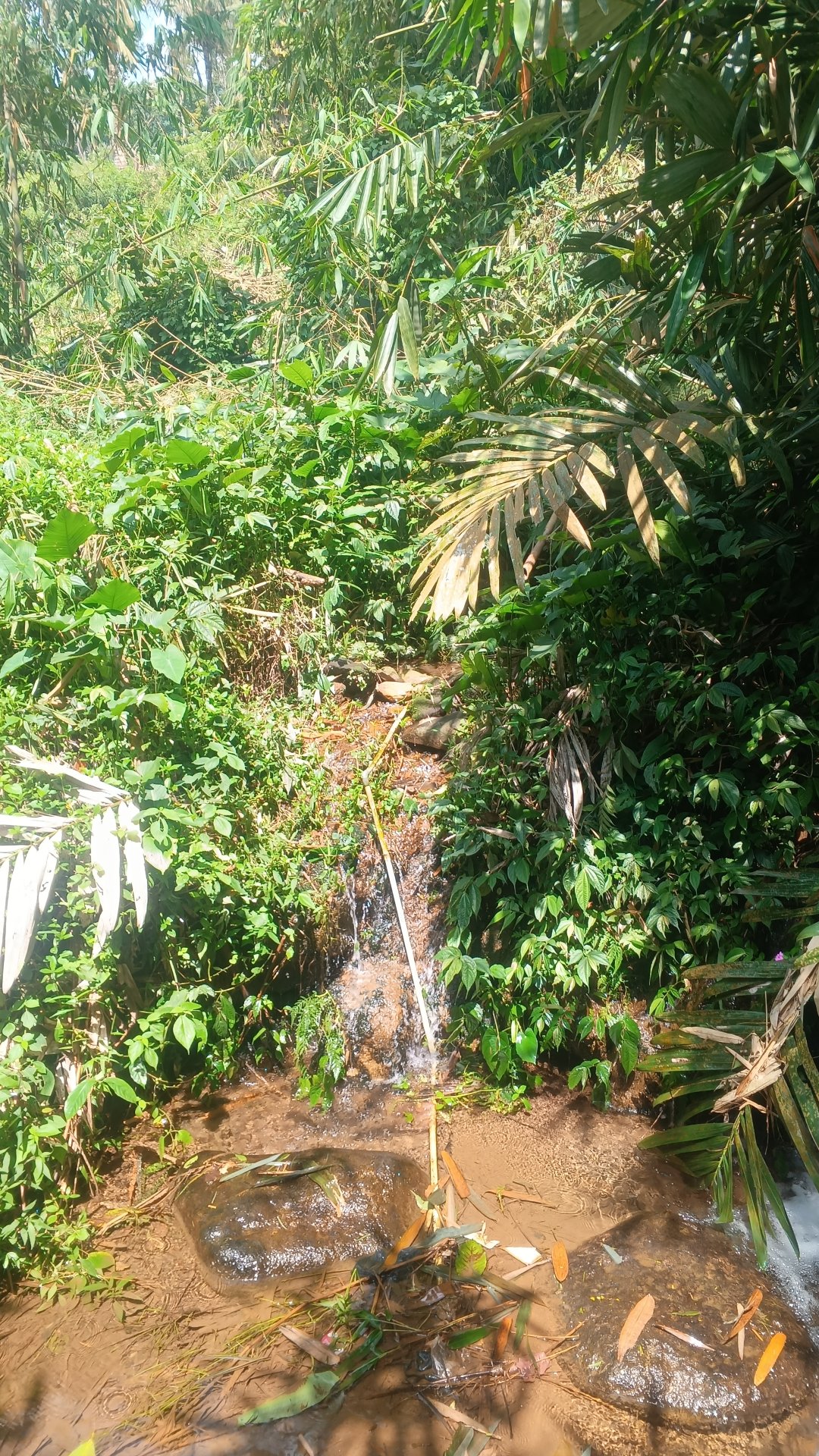 Kegiatan KKN Hari ke 26 Pemetaan Awal Mata Air dan Pemberian Label pada UMKM