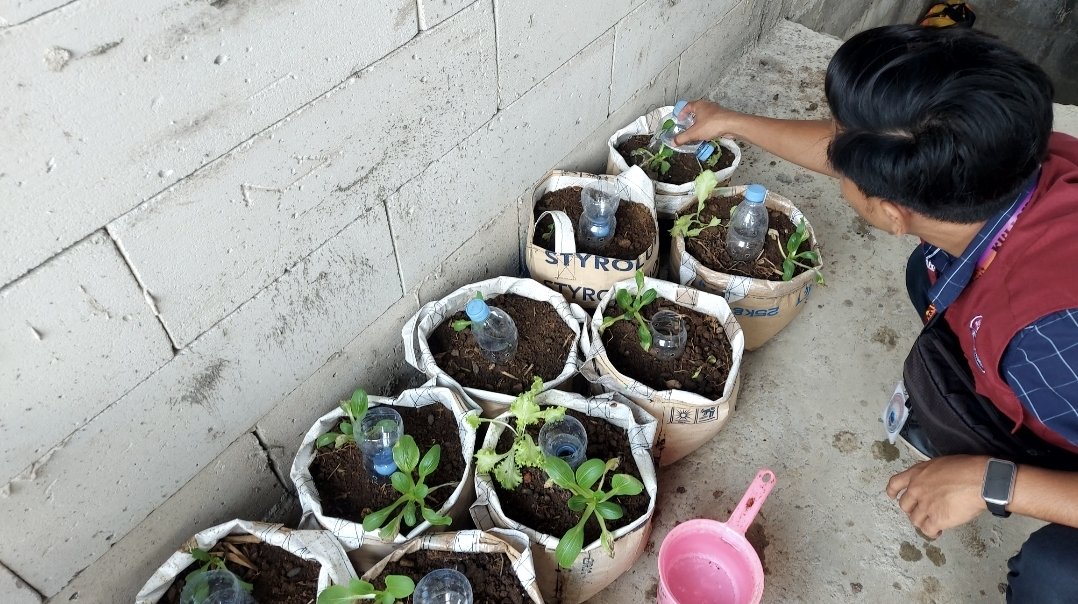 Sosialisasi 3 Dosa Besar Pendidikan, Anemia, dan Bimbingan Belajar