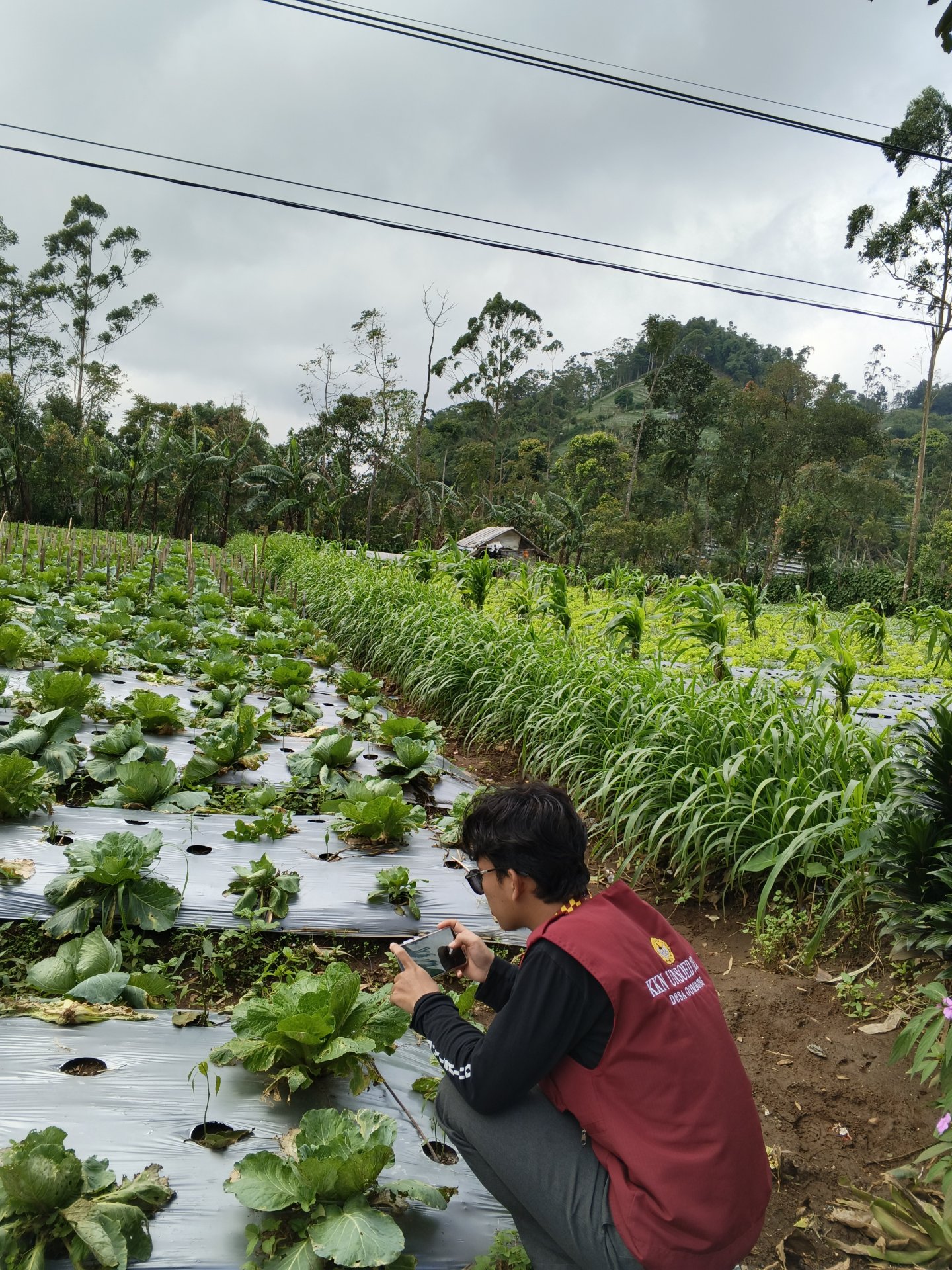 Pembuatan Video Profil Desa