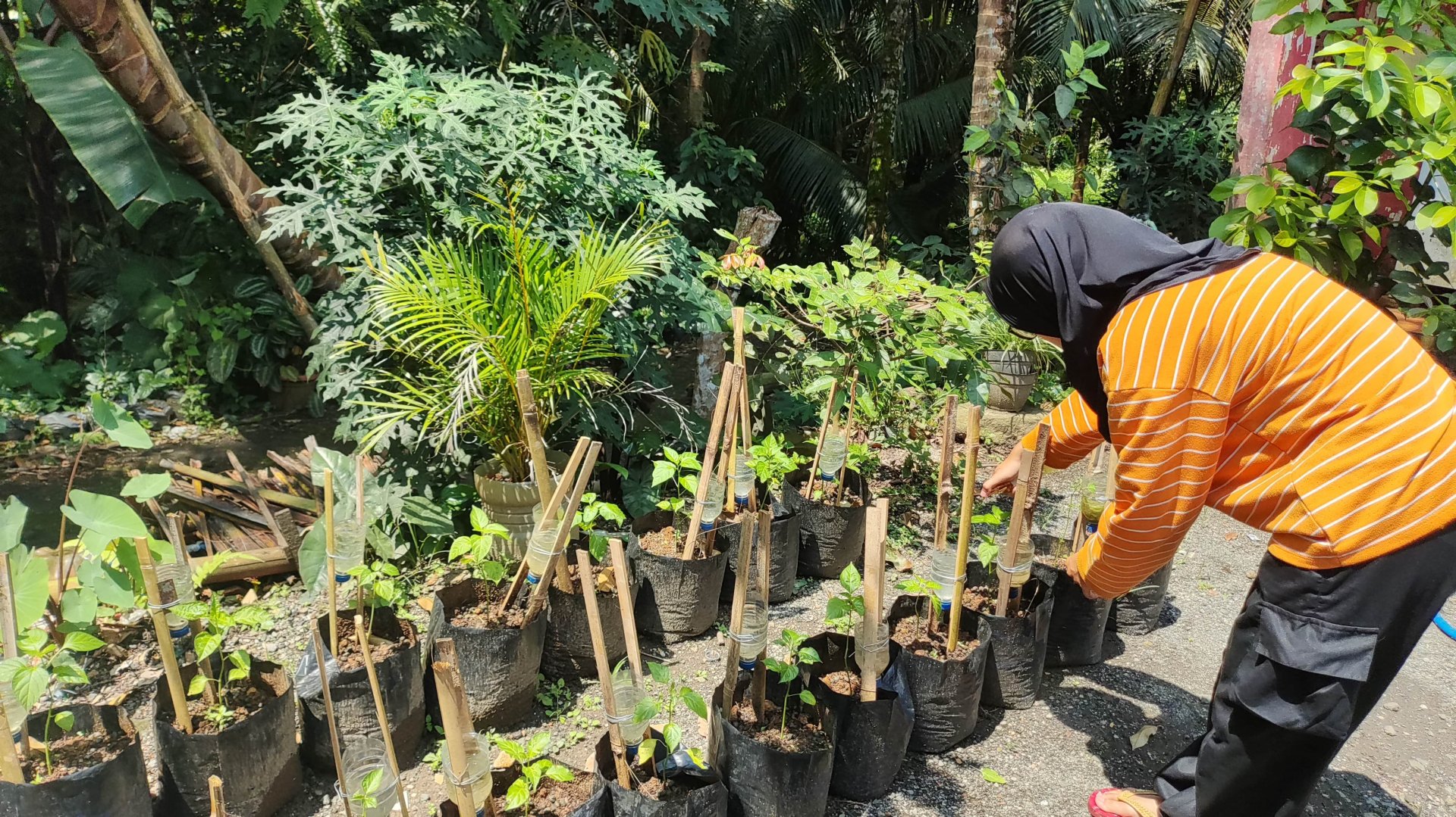 Kegiatan KKN hari ke-25 di Desa Erorejo