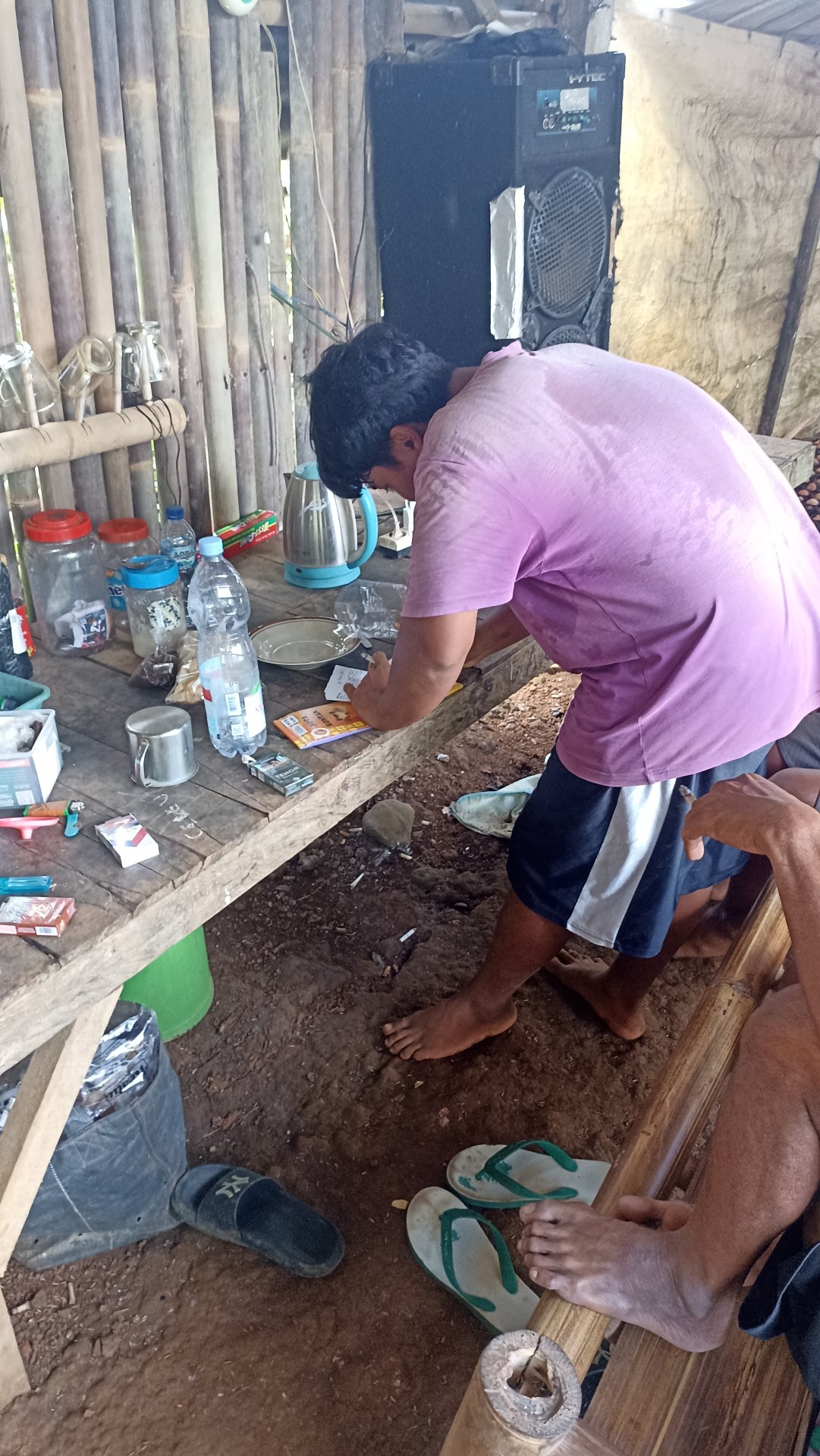 Day 25 pembelian bibit pohon