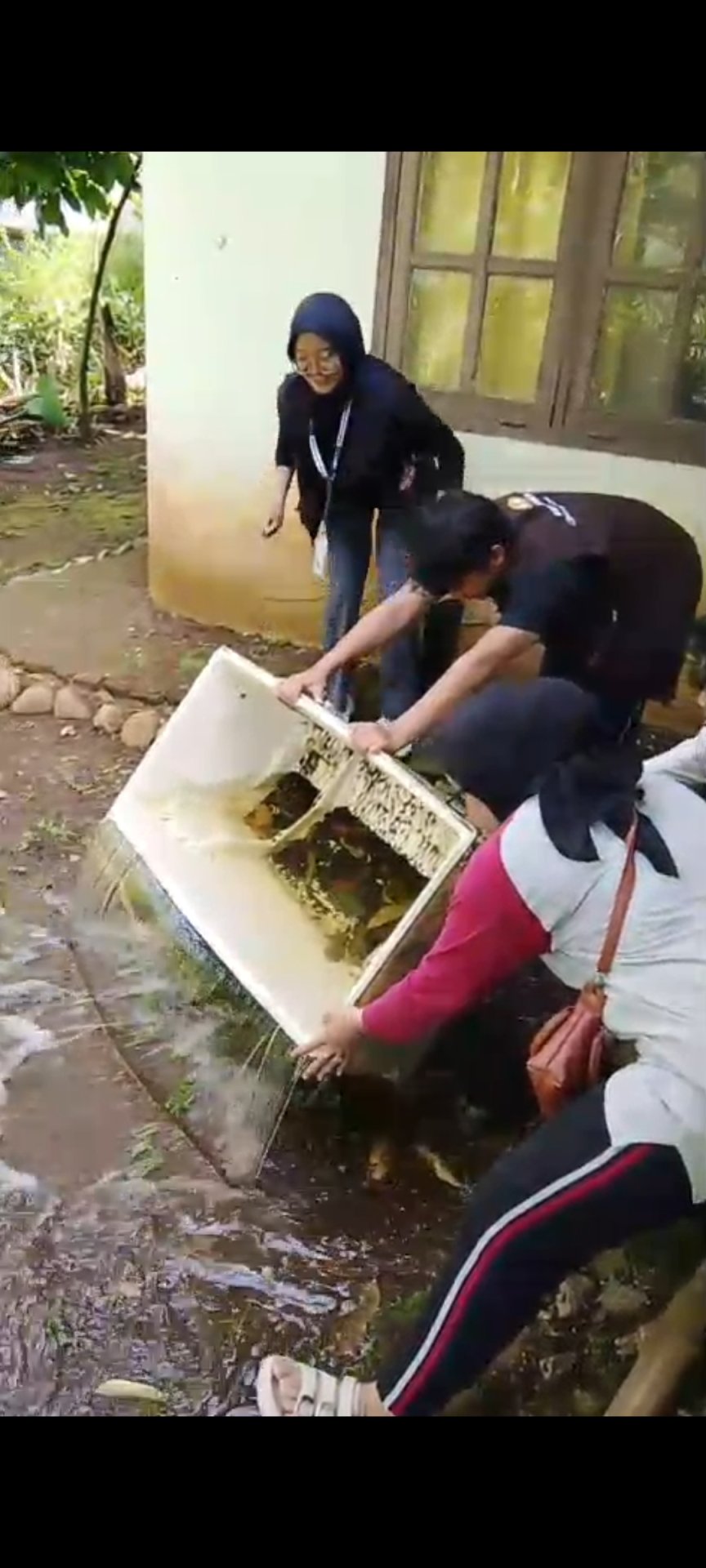 Pemeriksaan Jentik Jentik