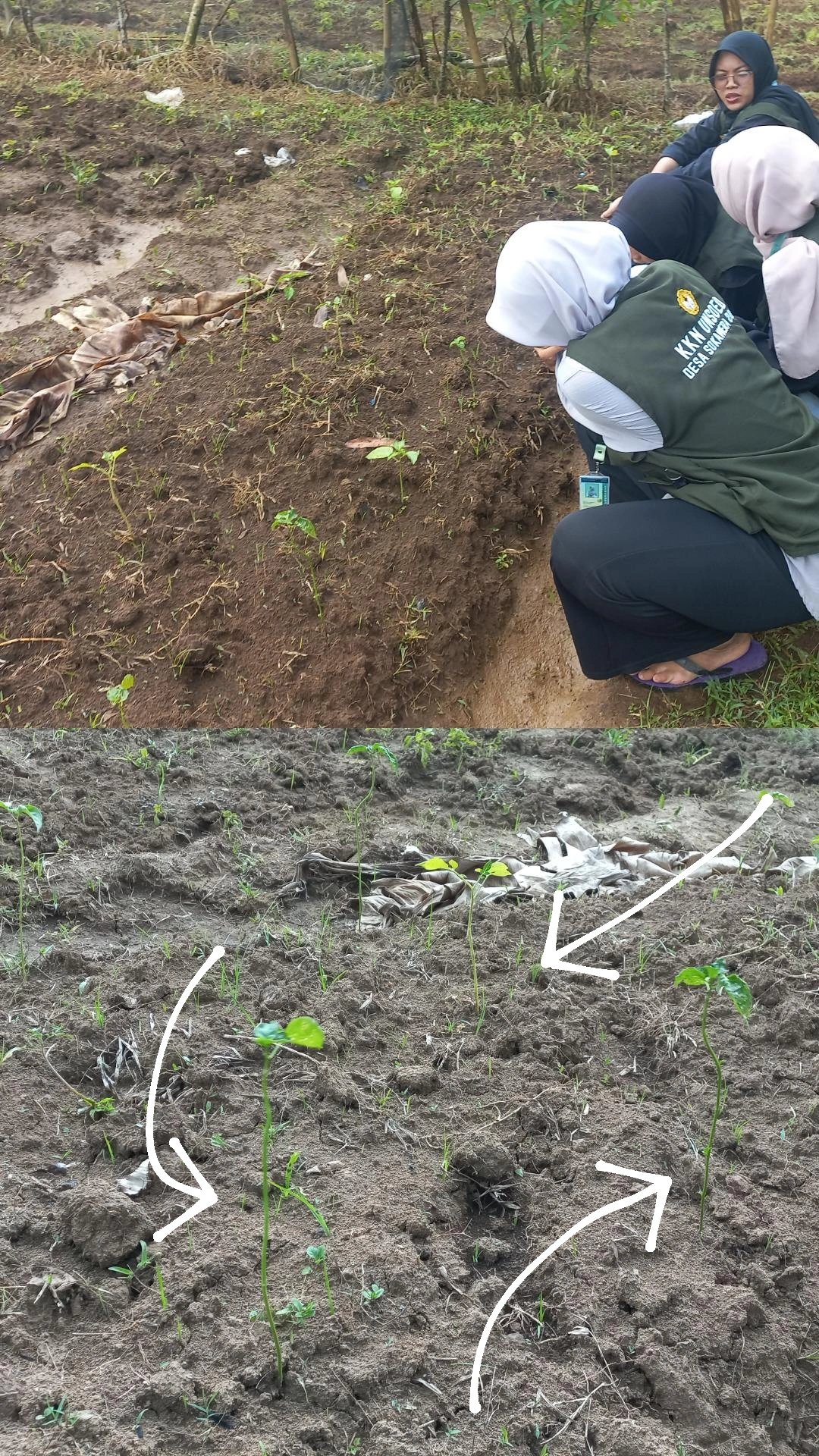 Kegiatan KKN Desa Sokawera 2026 hari ke-22