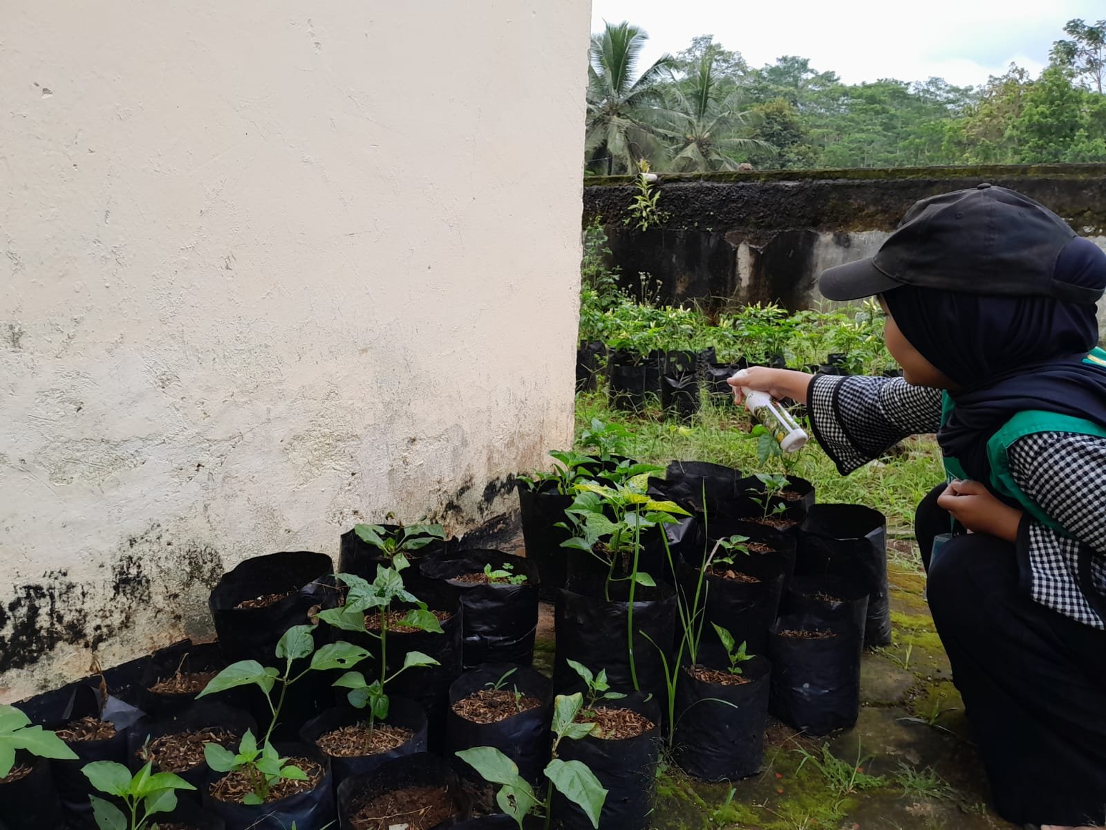 Kegiatan Lingkungan, Pendidikan, dan Simulasi Bencana