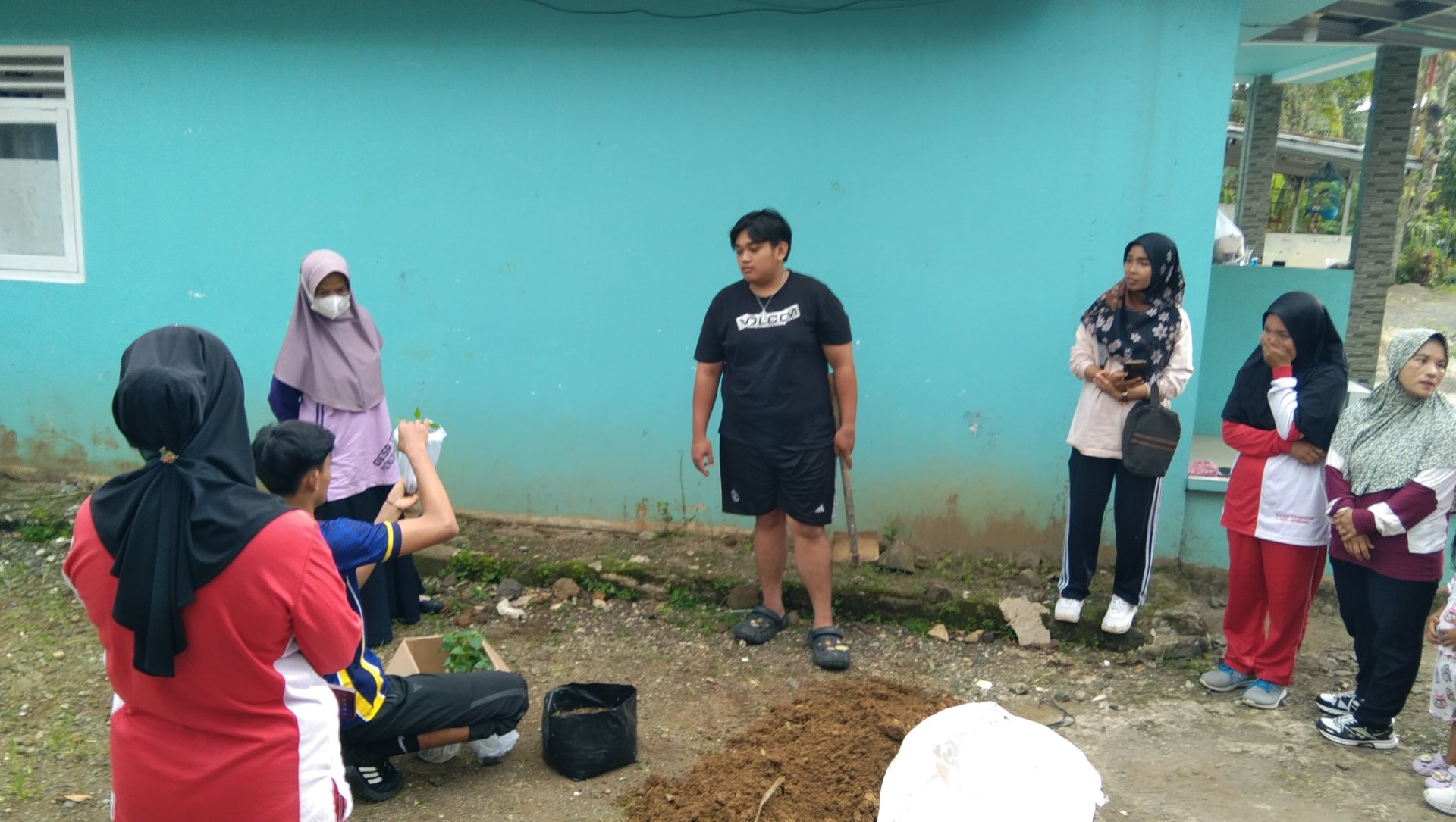 Intensifikasi perkarangan dengan penanaman tanaman cabai di polibag