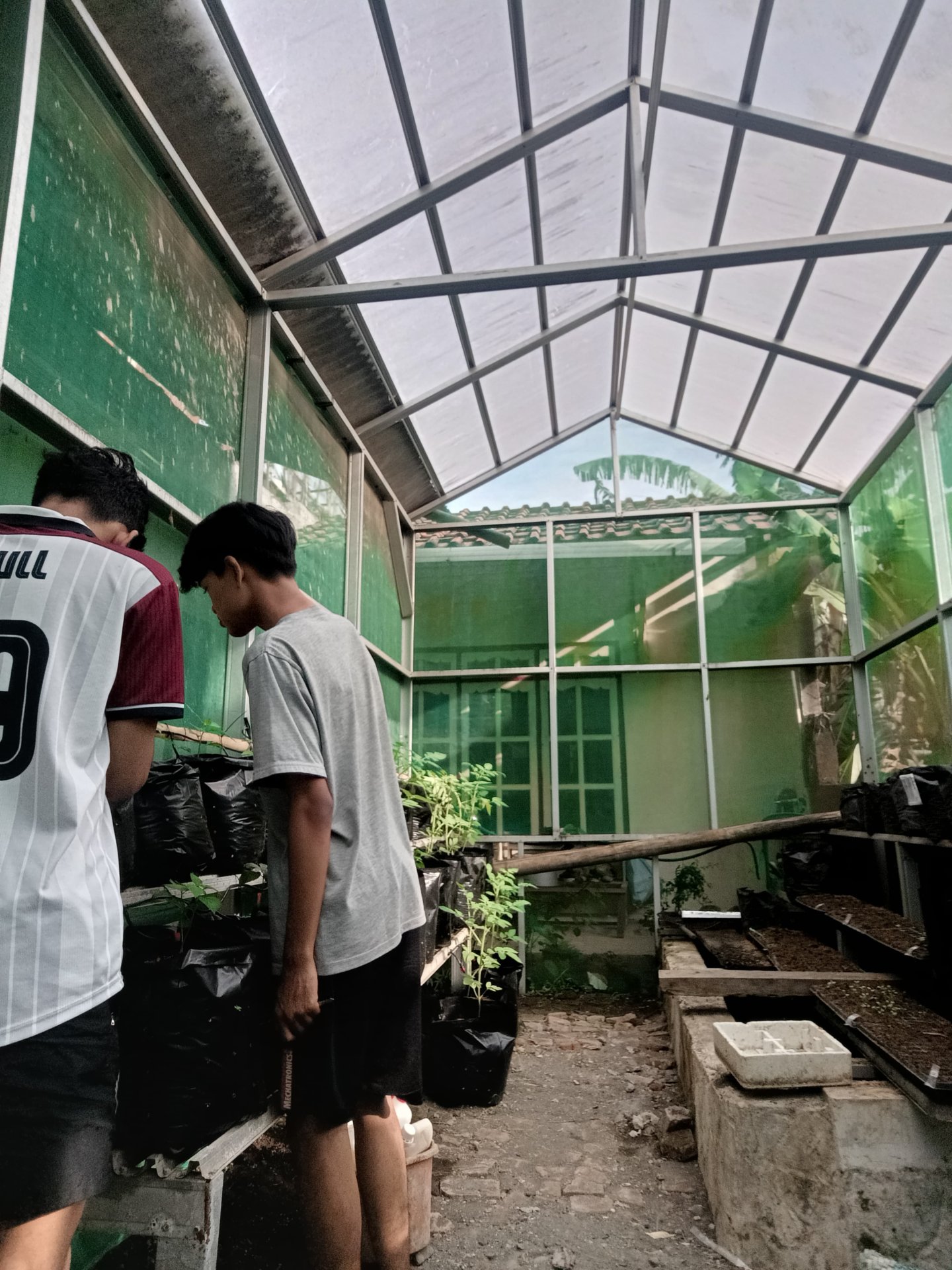 Kegiatan Hari Ke 26 | Bagian 1 : Monitoring Demplot Pertanian