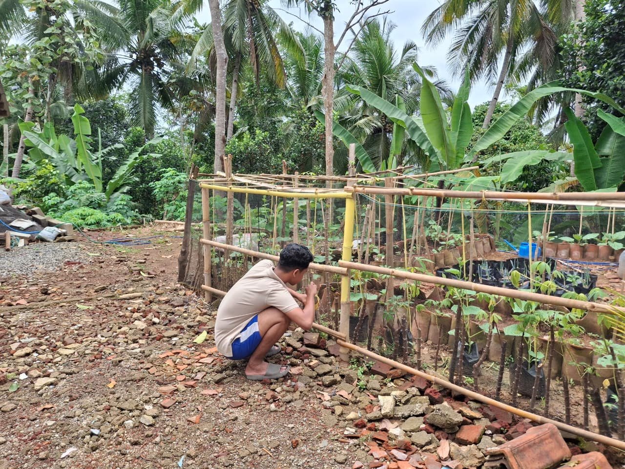 Menghias Taman di Pekarangan Rumah Warga pada 29 Januari 2026