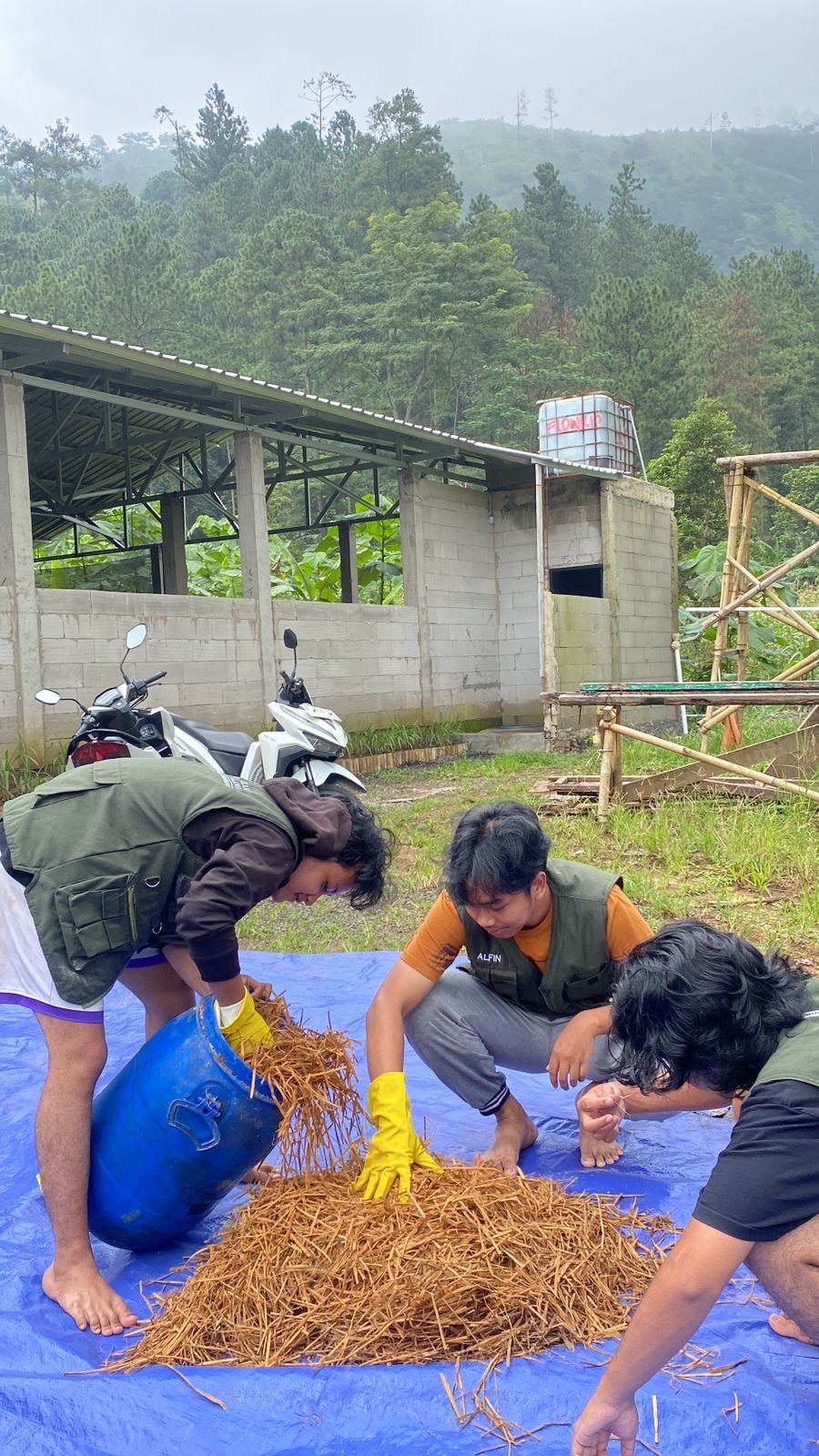 Monitoring Pakan Silase day 26