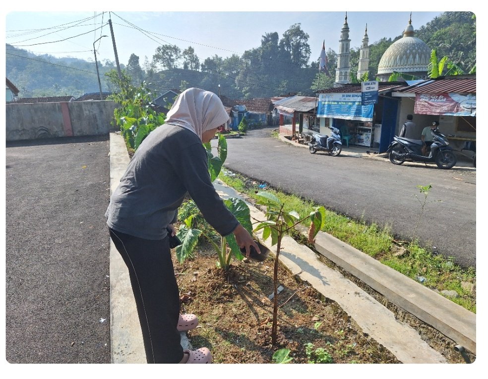 Monitoring tanaman multiguna dan cabai