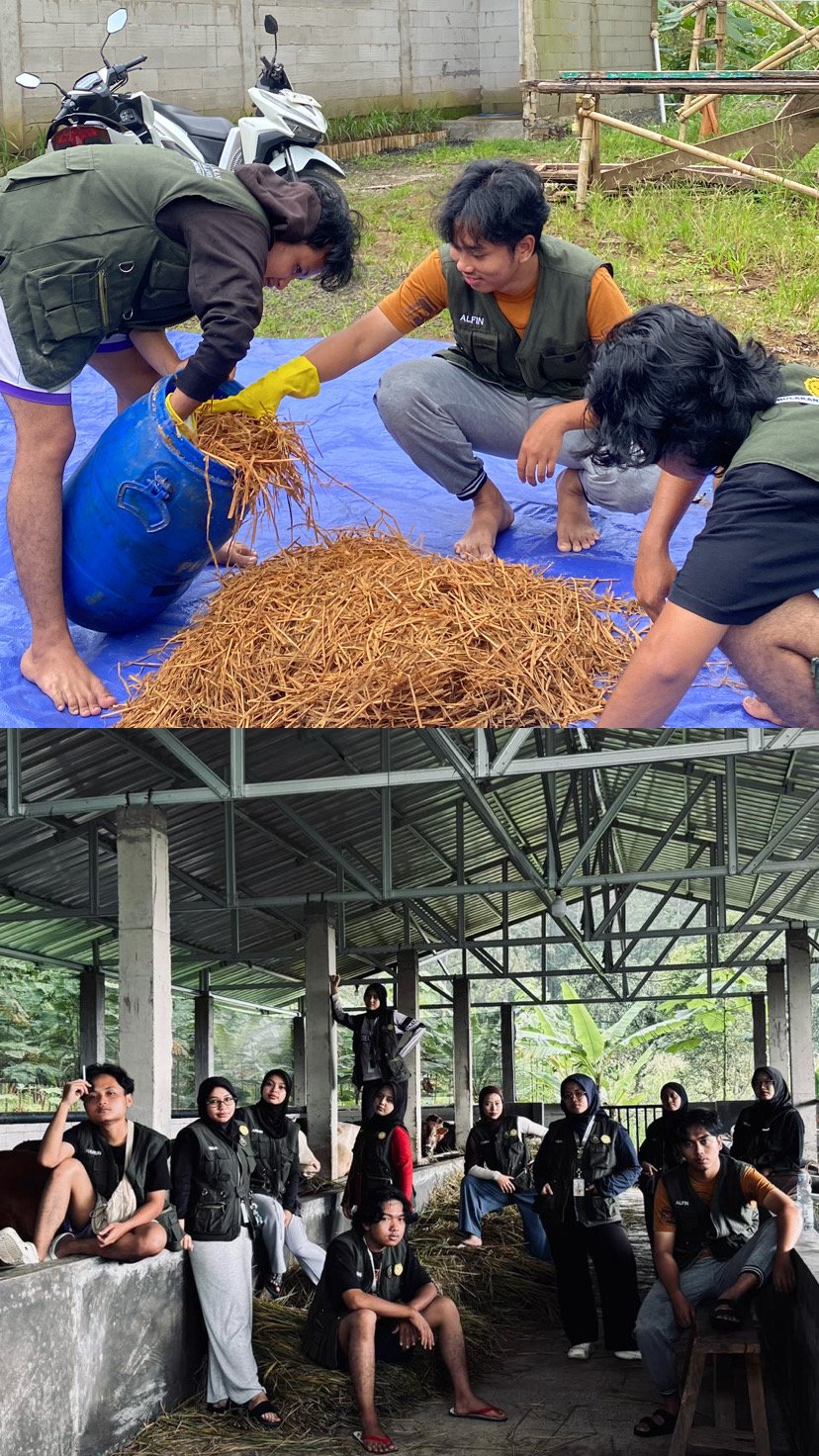 Monitoring Pembuatan Pakan Silase