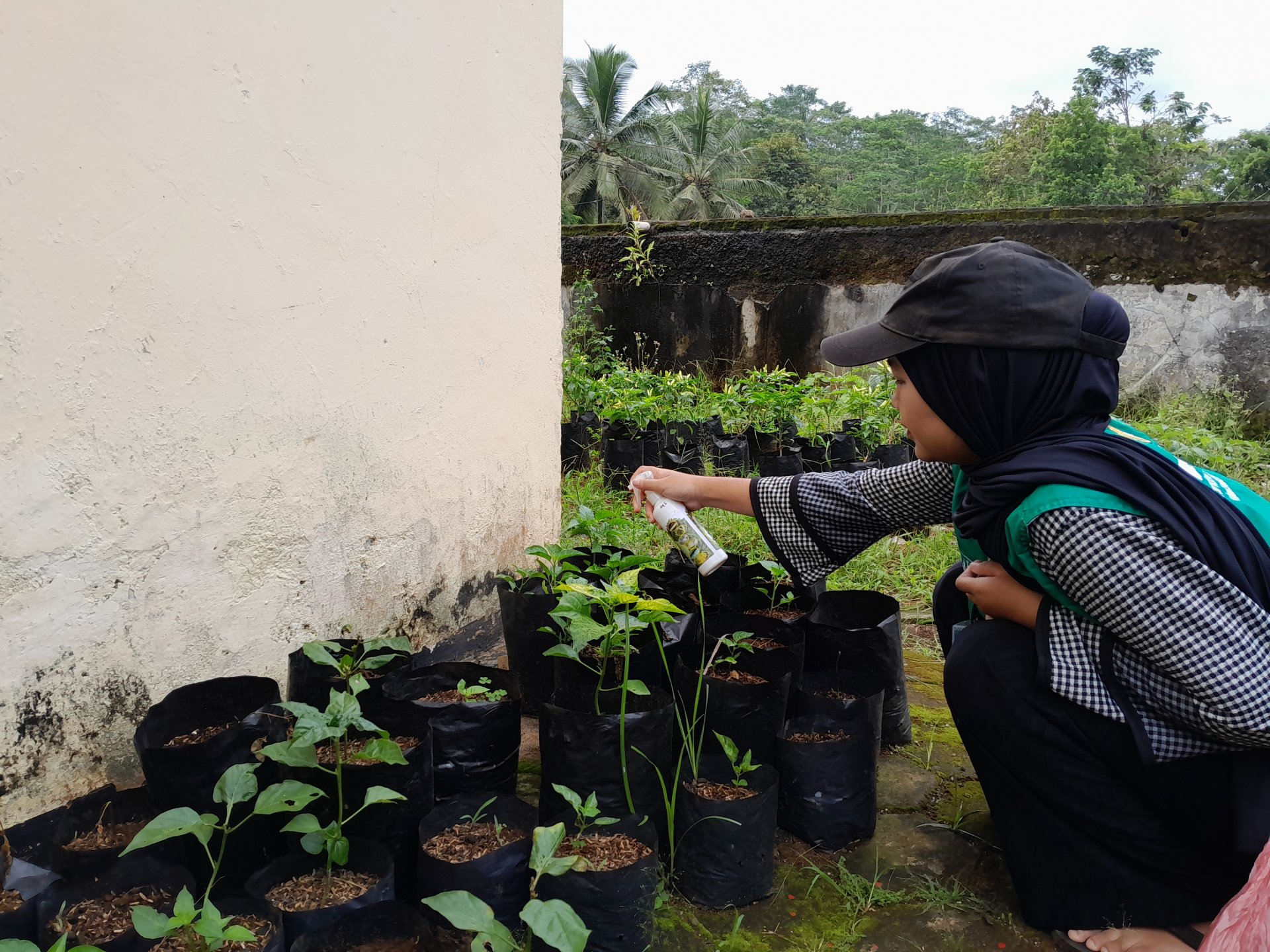 KKN Kemawi Kegiatan Lingkungan, Pendidikan, dan Kebencanaan