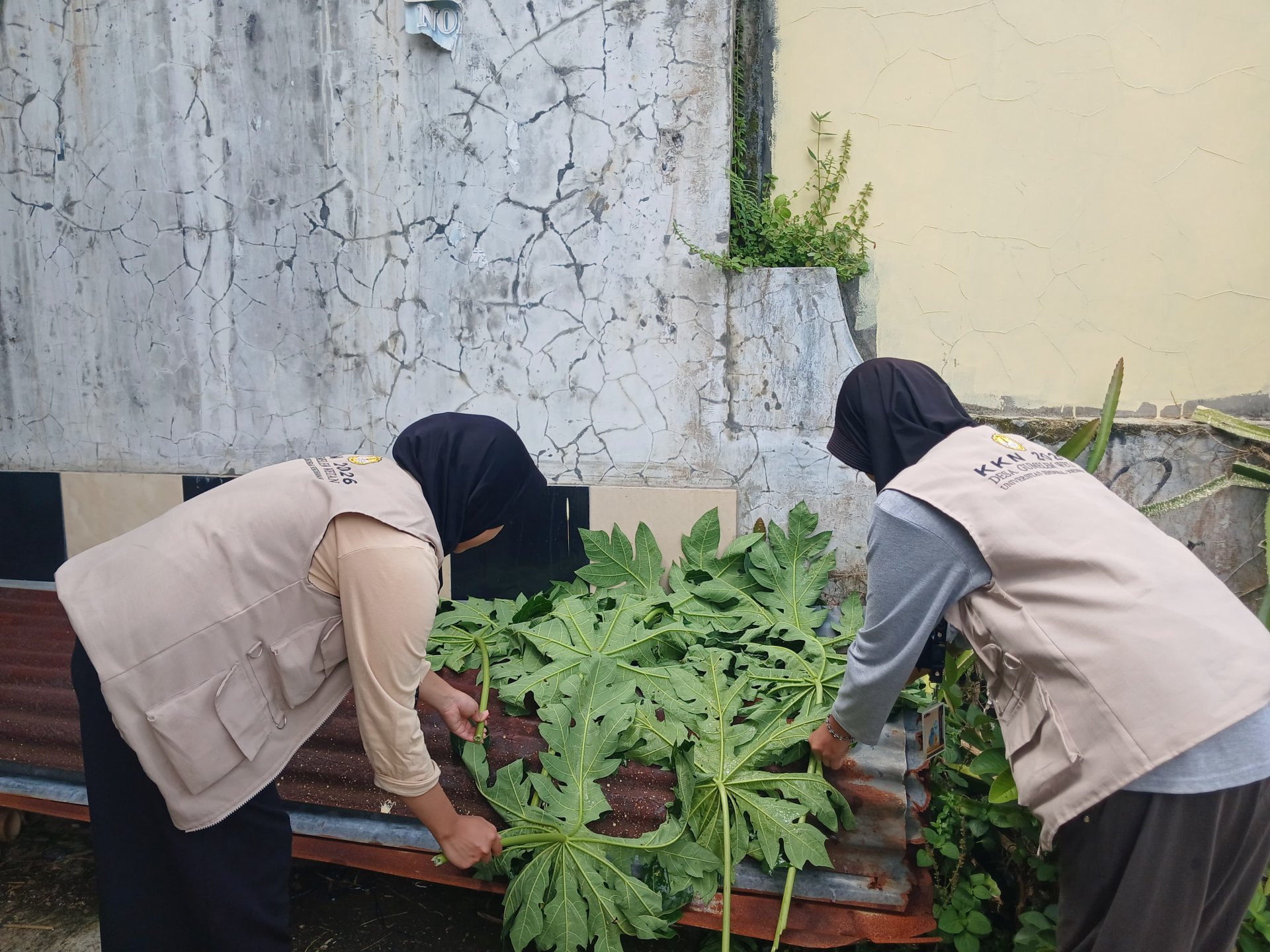 Persiapan Pestisida Nabati
