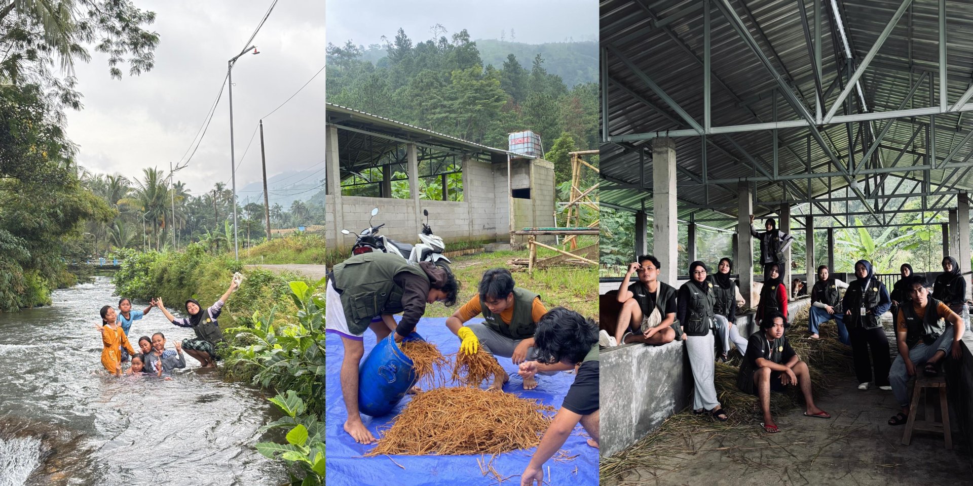 Monitoring Pakan Silase