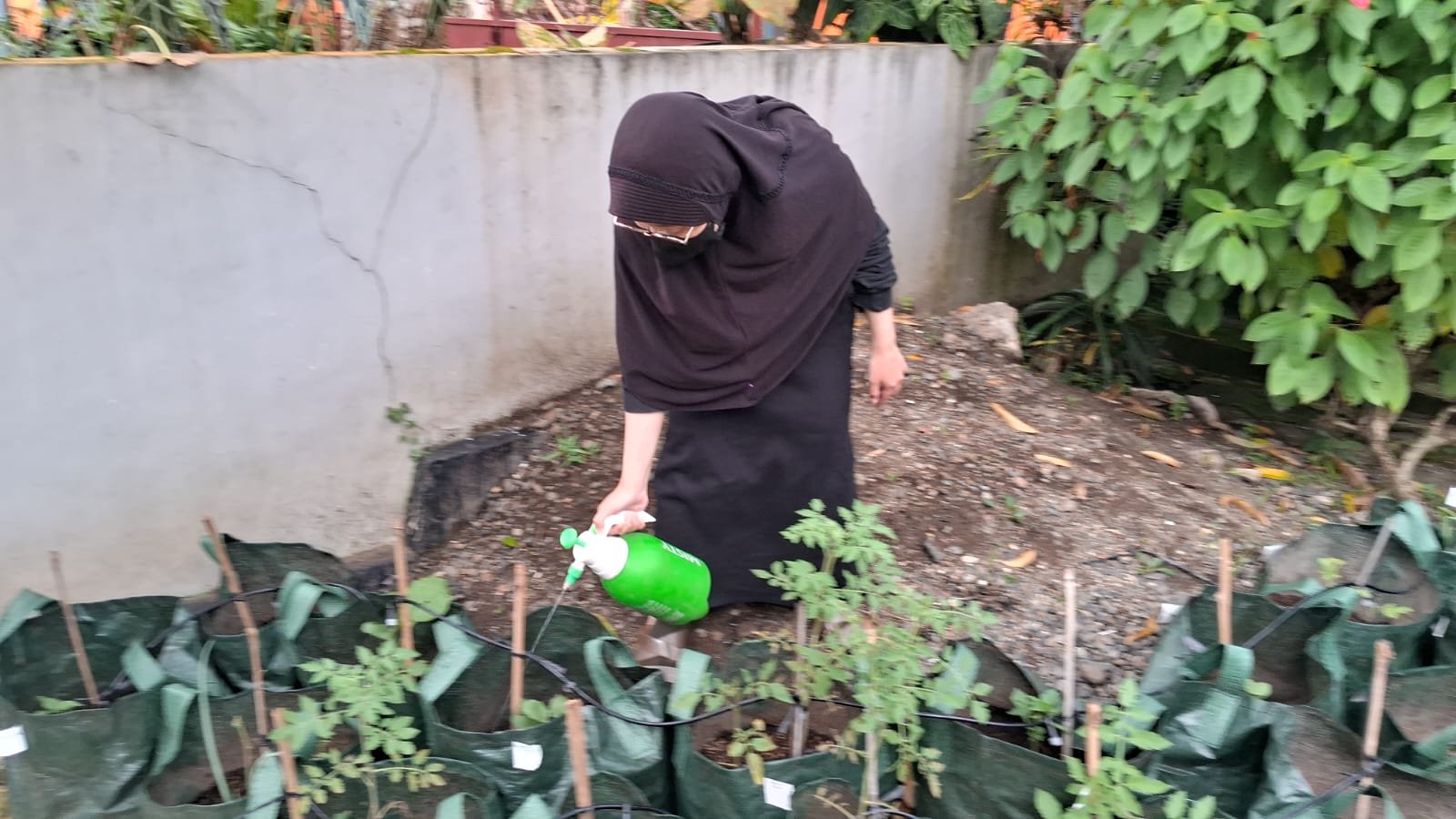 Hari 27.28  (Pelayanan Administrasi Desa dan Pemeliharaan Lingkungan)