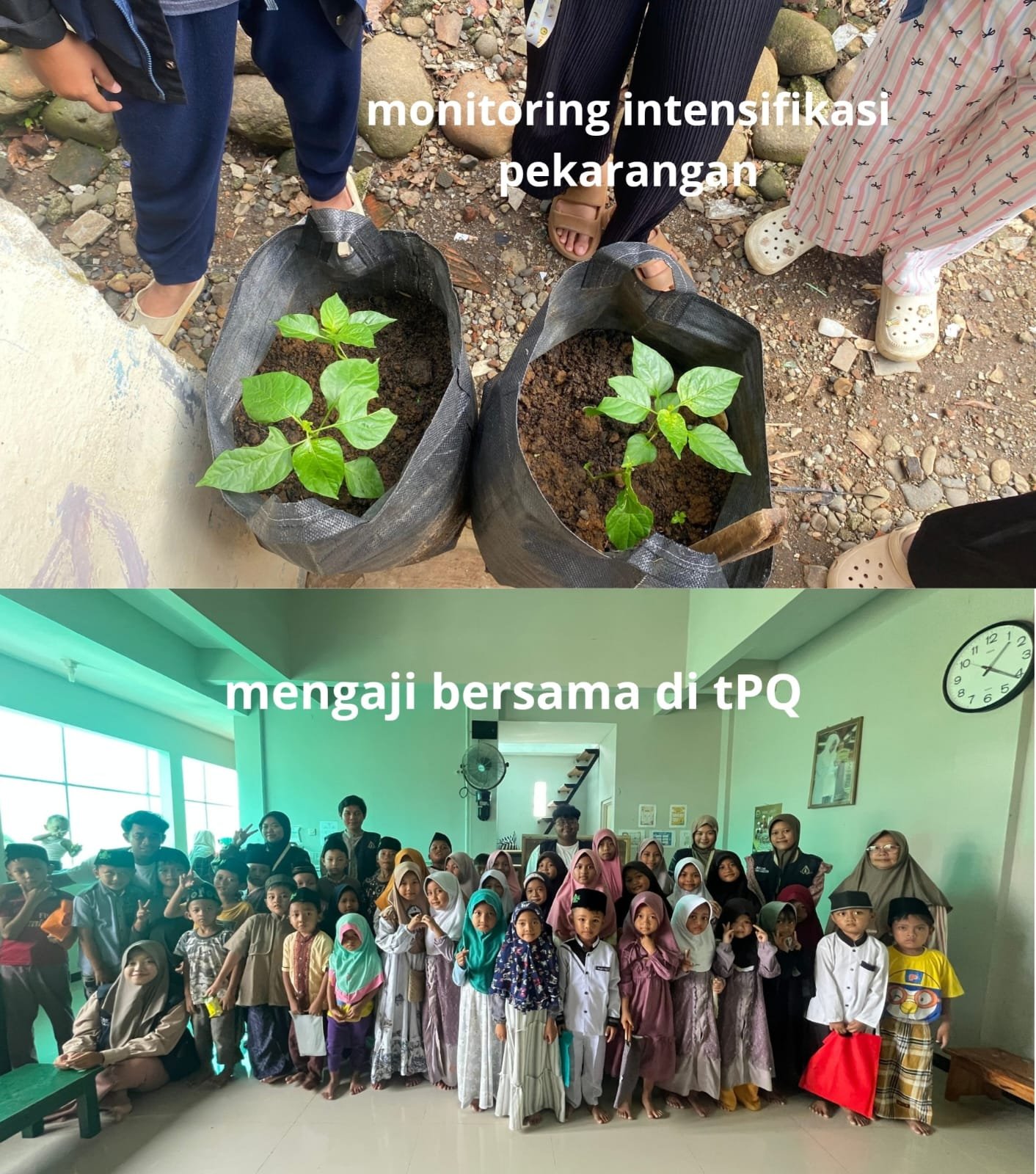 Intensifikasi Pekarangan & Mengaji Bersama di TPQ
