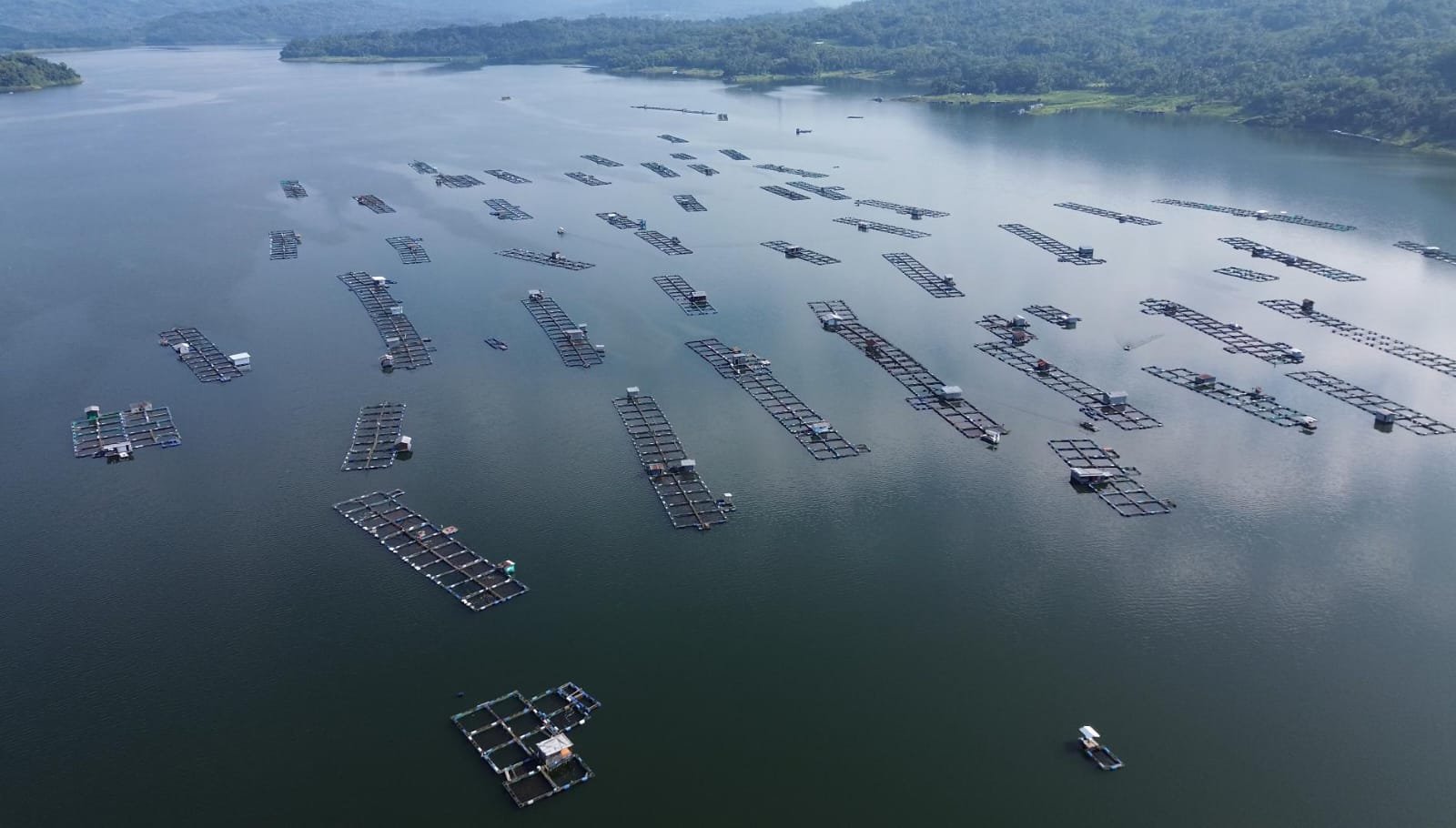 KKN SUMBERSARI 2026 KEC. WADASLINTANG, KAB. WONOSOBO  DAY 27