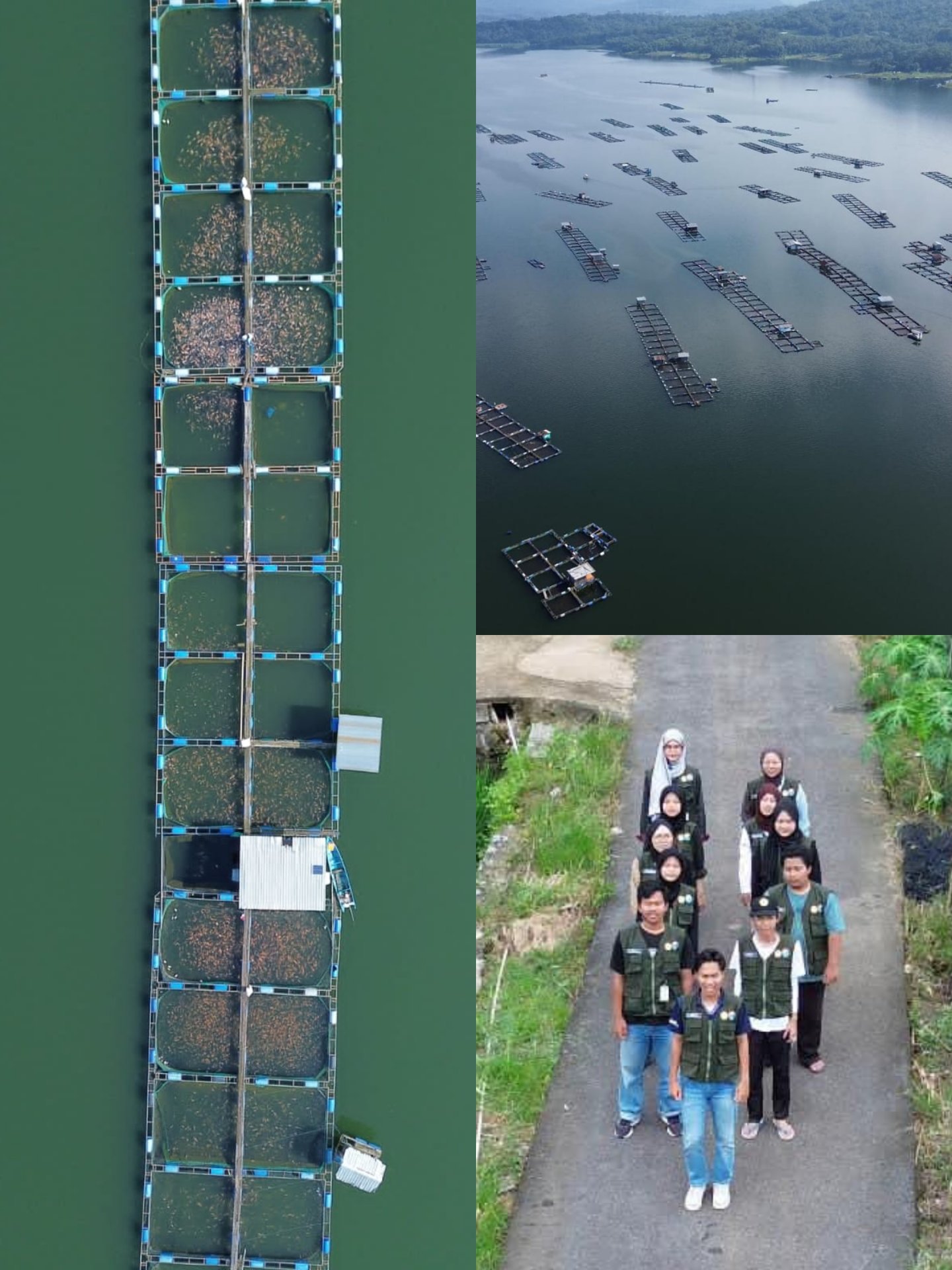 (02/02/2026) kegiatan KKN Hari ke-27 Tim KKN Unsoed Desa Sumbersari, Kec. Wadaslintang, Kab. Wonosobo