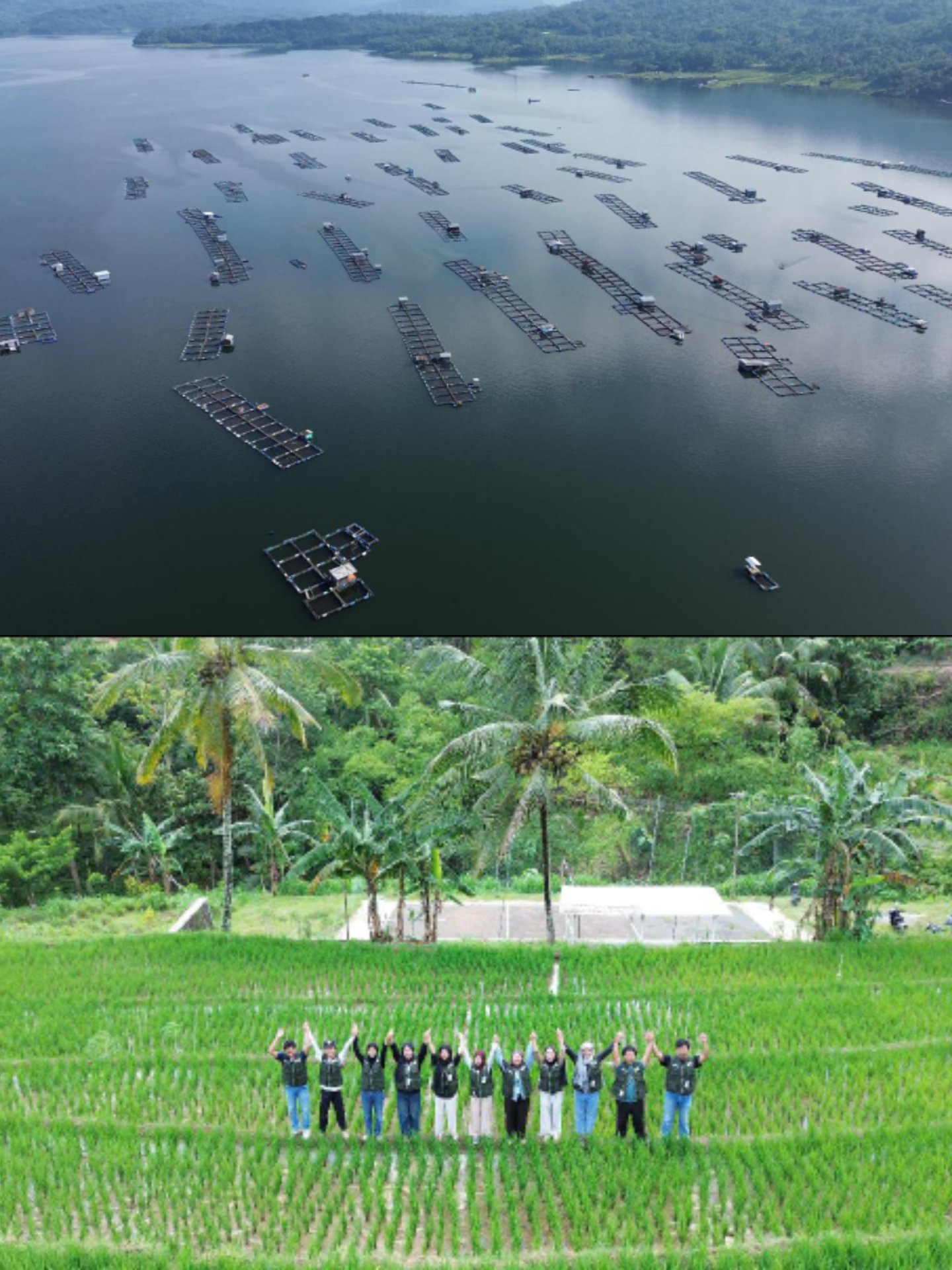 Kegiatan KKN Desa Sumbersari, Kec. Wadaslintang, Kab. Wonosobo, 2 Februari 2026