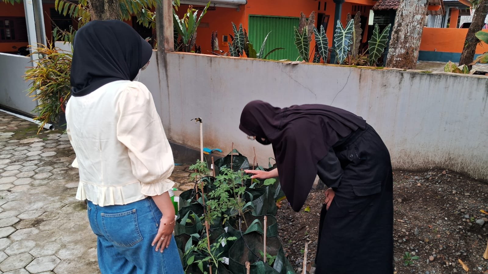 Hari 27.28  (Pelayanan Administrasi Desa dan Pemeliharaan Lingkungan)