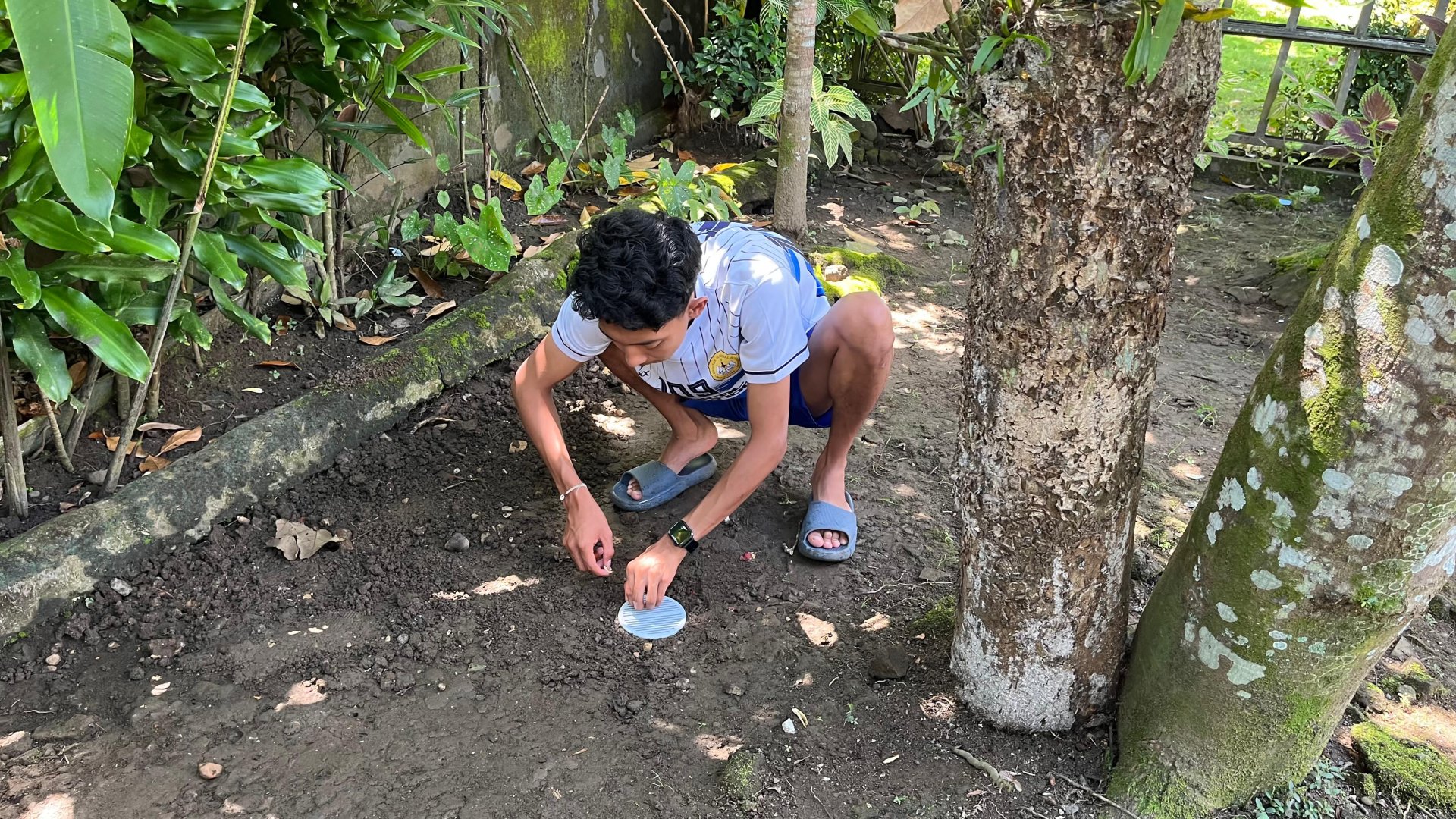 Monitoring Perkembangan Tanaman Cabai KWT dan Implementasi Lanjutan Teknologi Lubang Resapan Biopori di Lingkungan Masyarakat