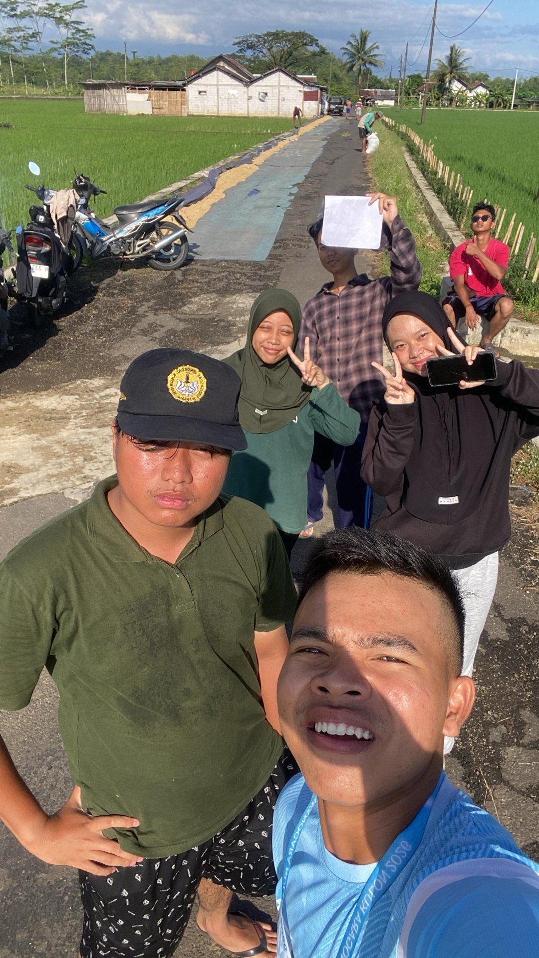 Monitoring pertumbuhan dan hama padi