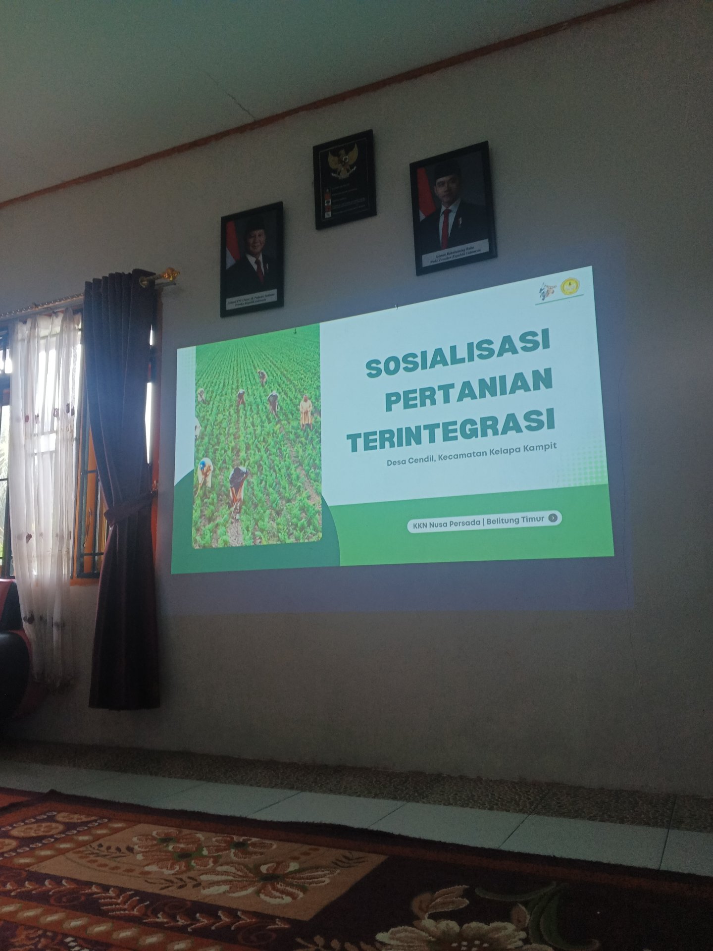 Sosialisasi pertanian terintegrasi