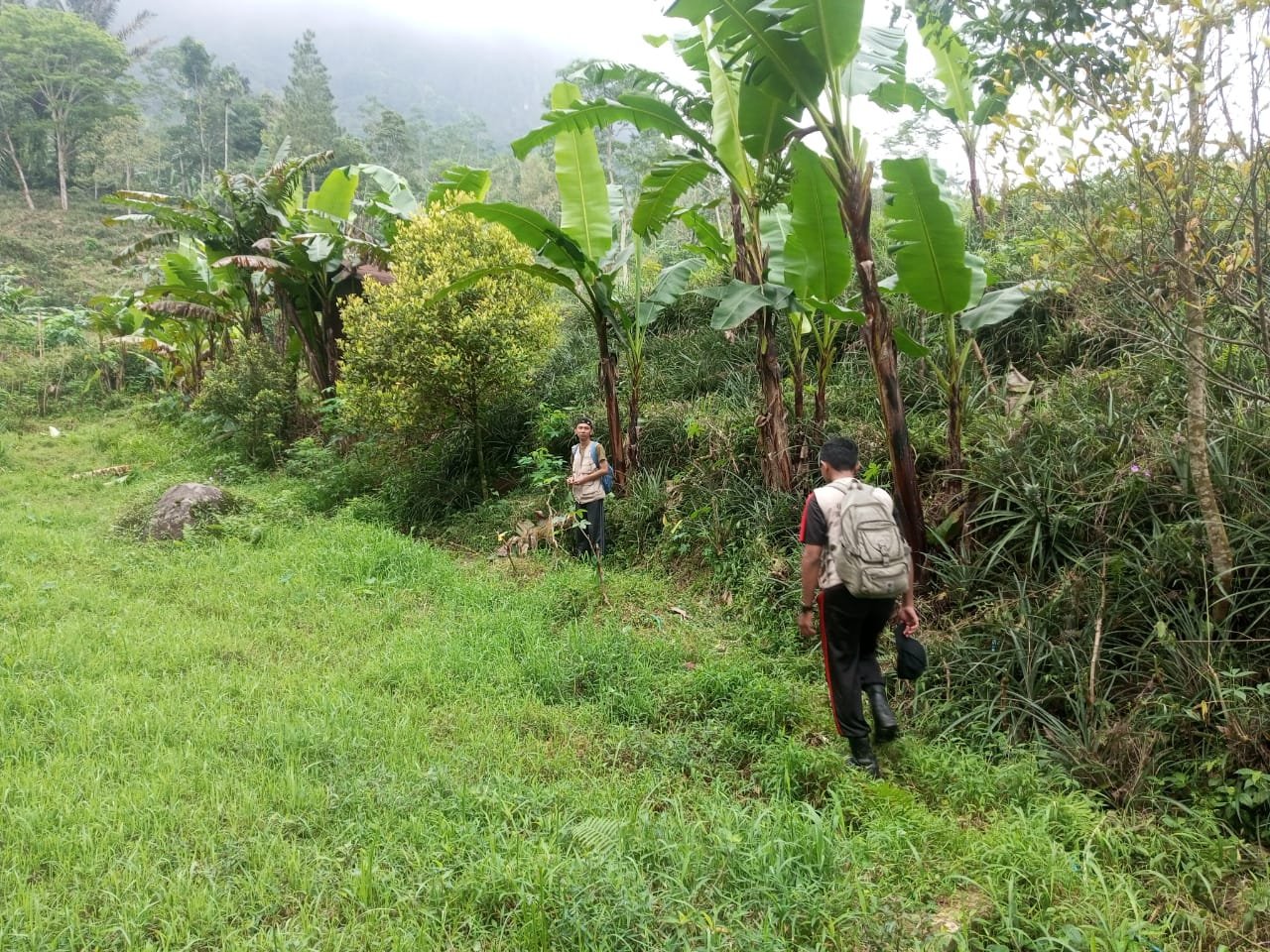 Hari ke-28 KKN di Desa Mendelem