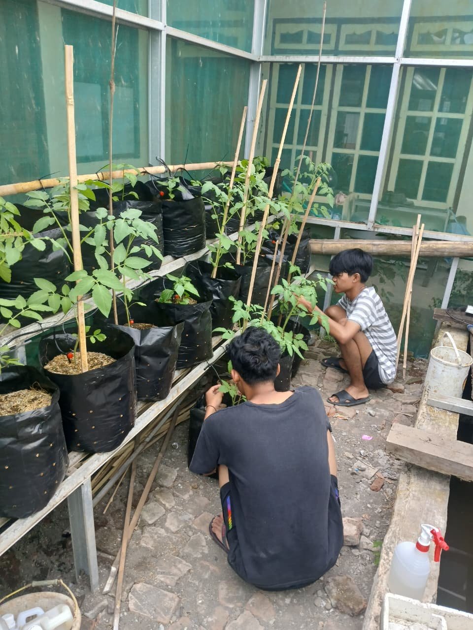 Kegiatan Hari Kedua Puluh Delapan | Bagian 2: Monitoring Demplot Pertanian