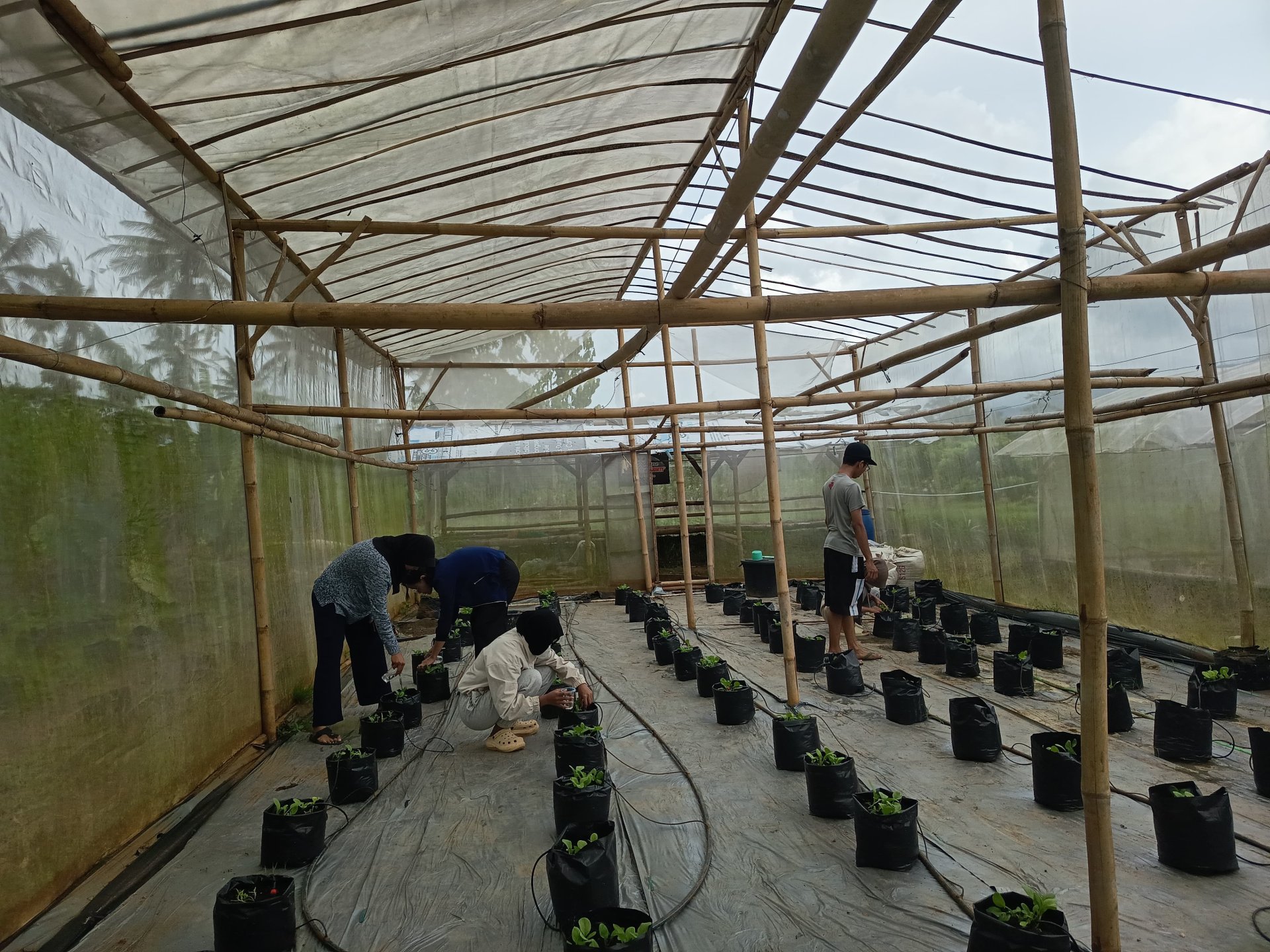 KEGIATAN KKN DESA PLANA HARI KE-28