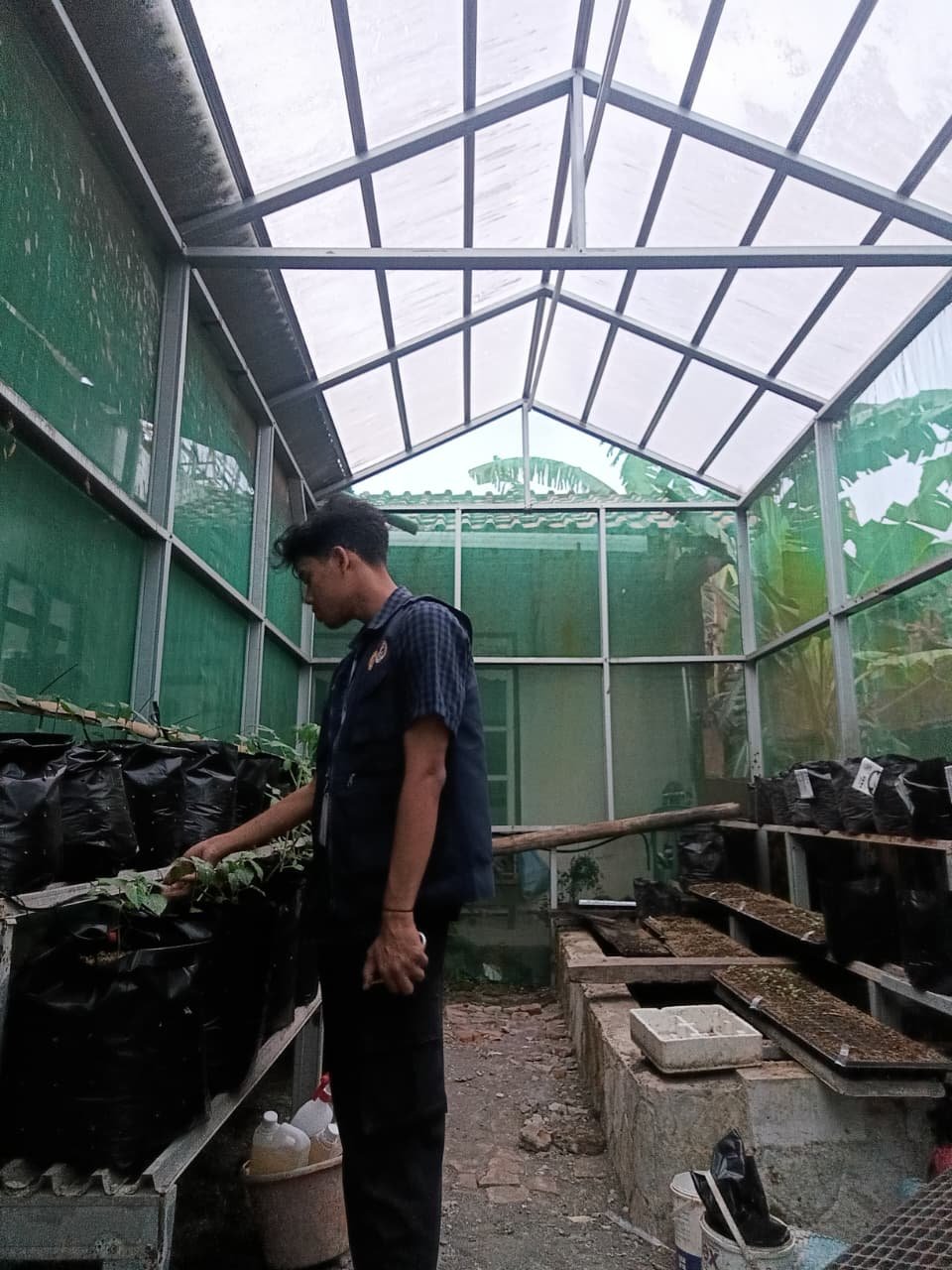 Kegiatan Hari Ke 27 | Demplot pertanian