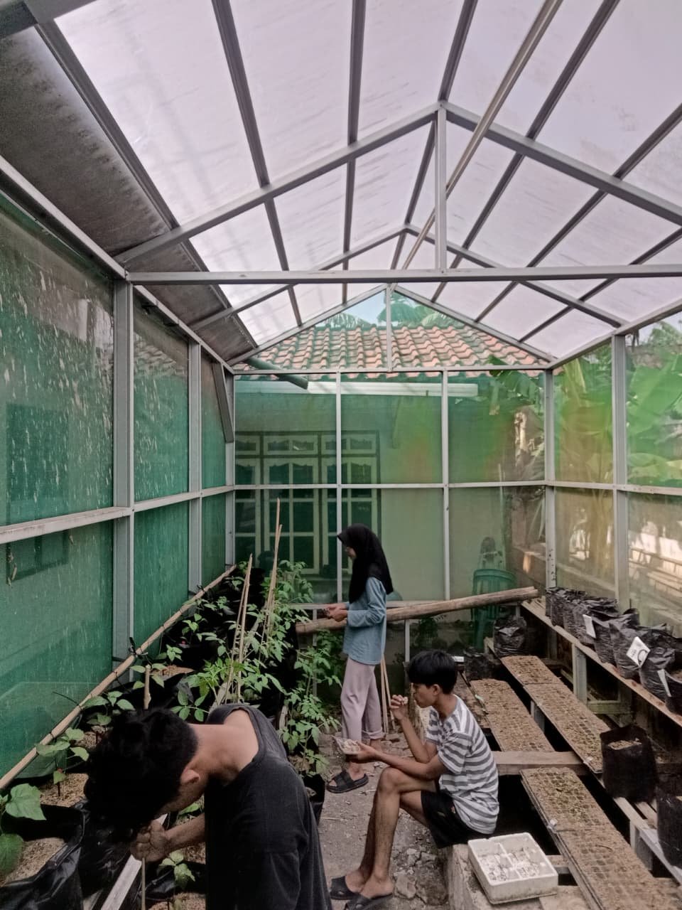 Kegiatan Hari Ke 28 | Demplot pertanian