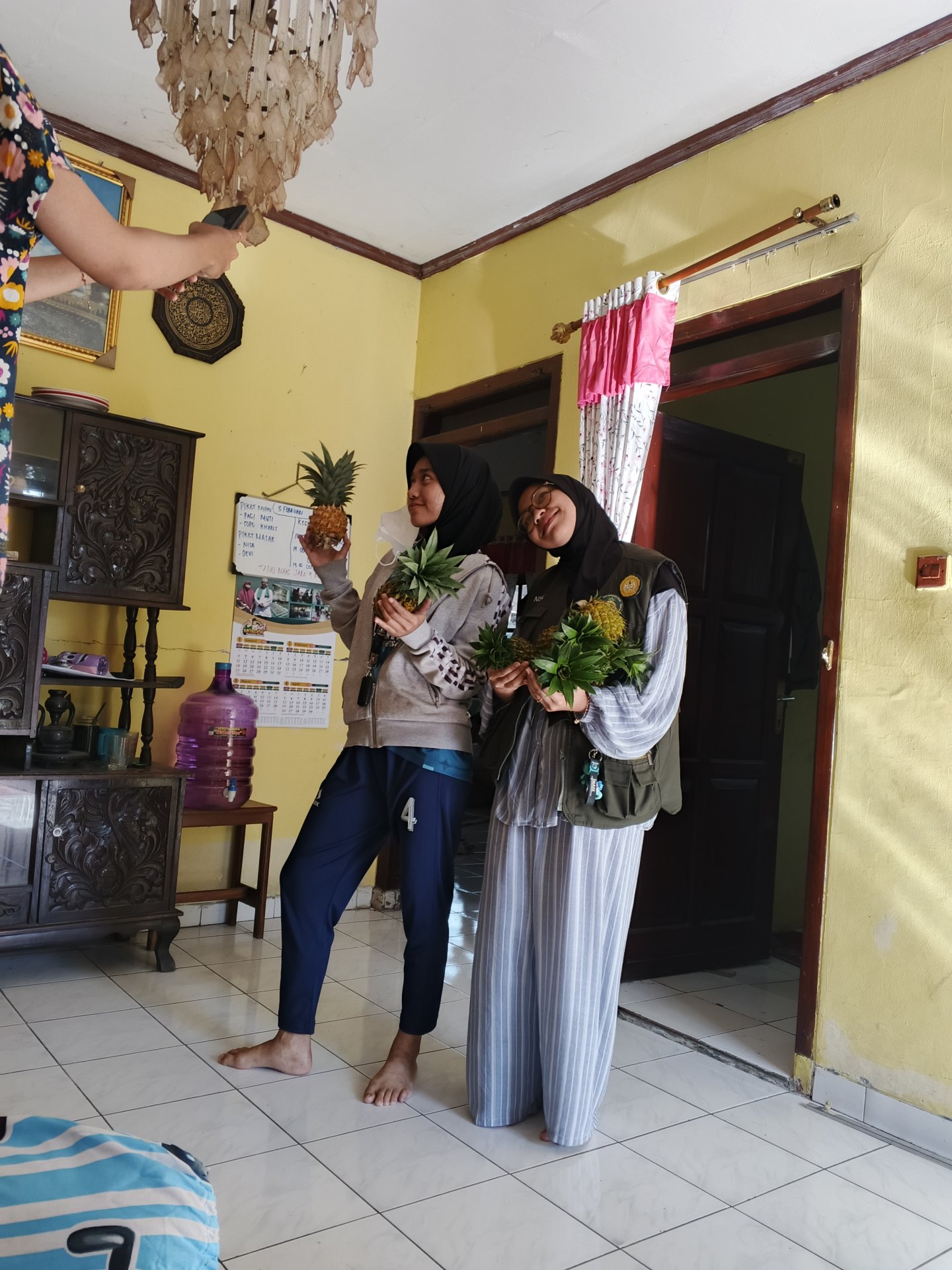 KKN HARI KE 27 Take video panen nanas di bulakan