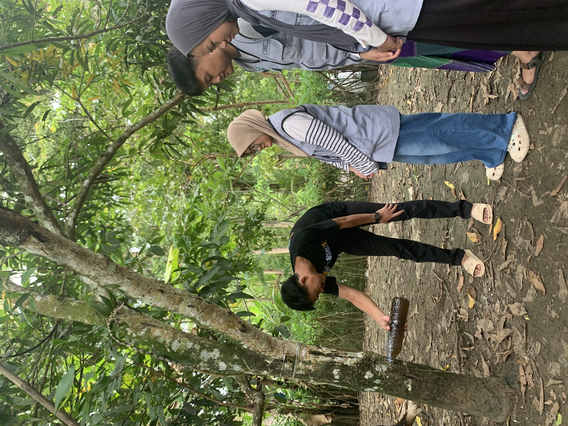 persiapan pembagian dan pembagian poc serta pengaplikasian pada kebun warga