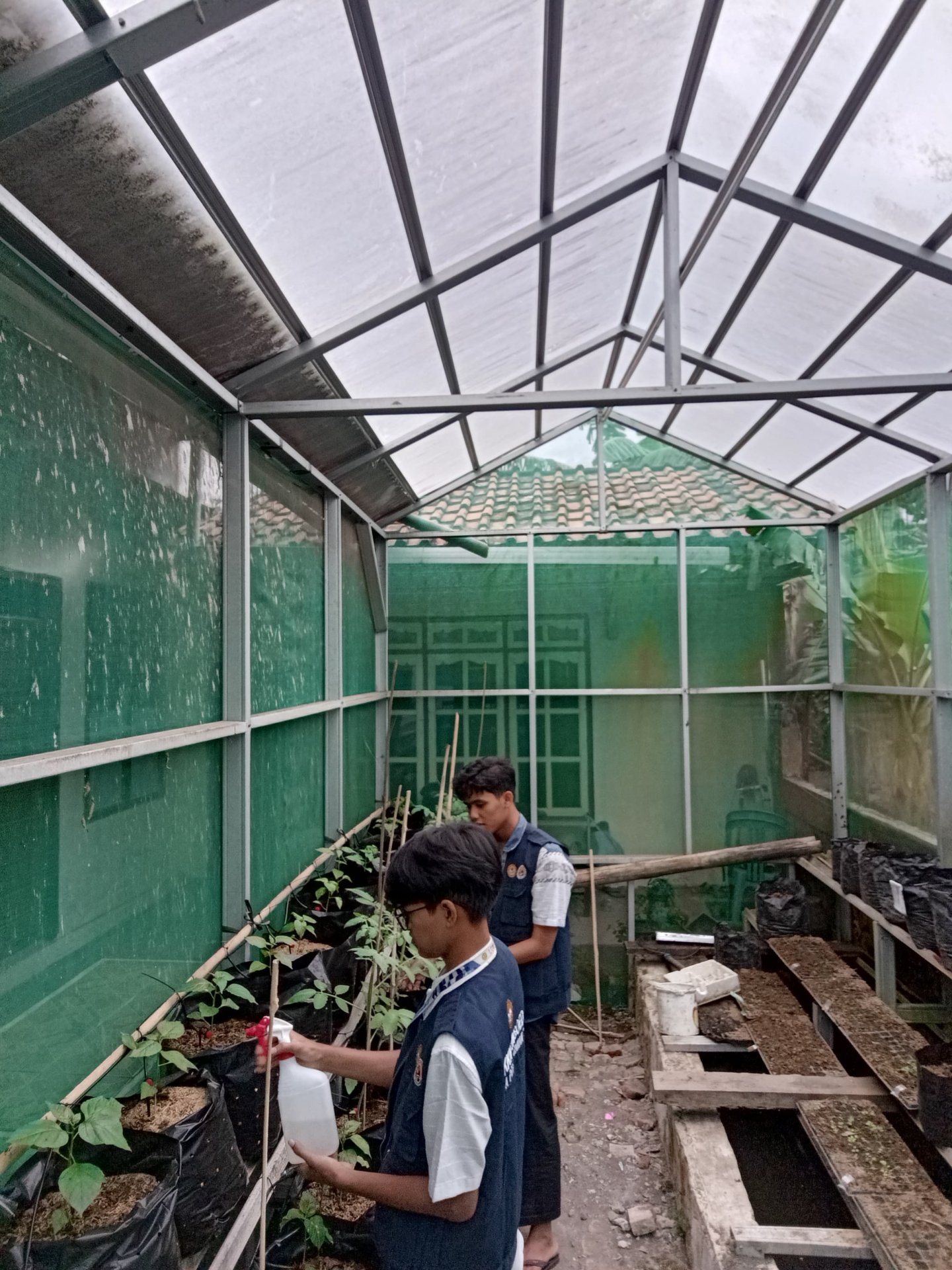 Kegiatan Hari Ke 29 | Bagian 3 : Monitoring Demplot Pertanian