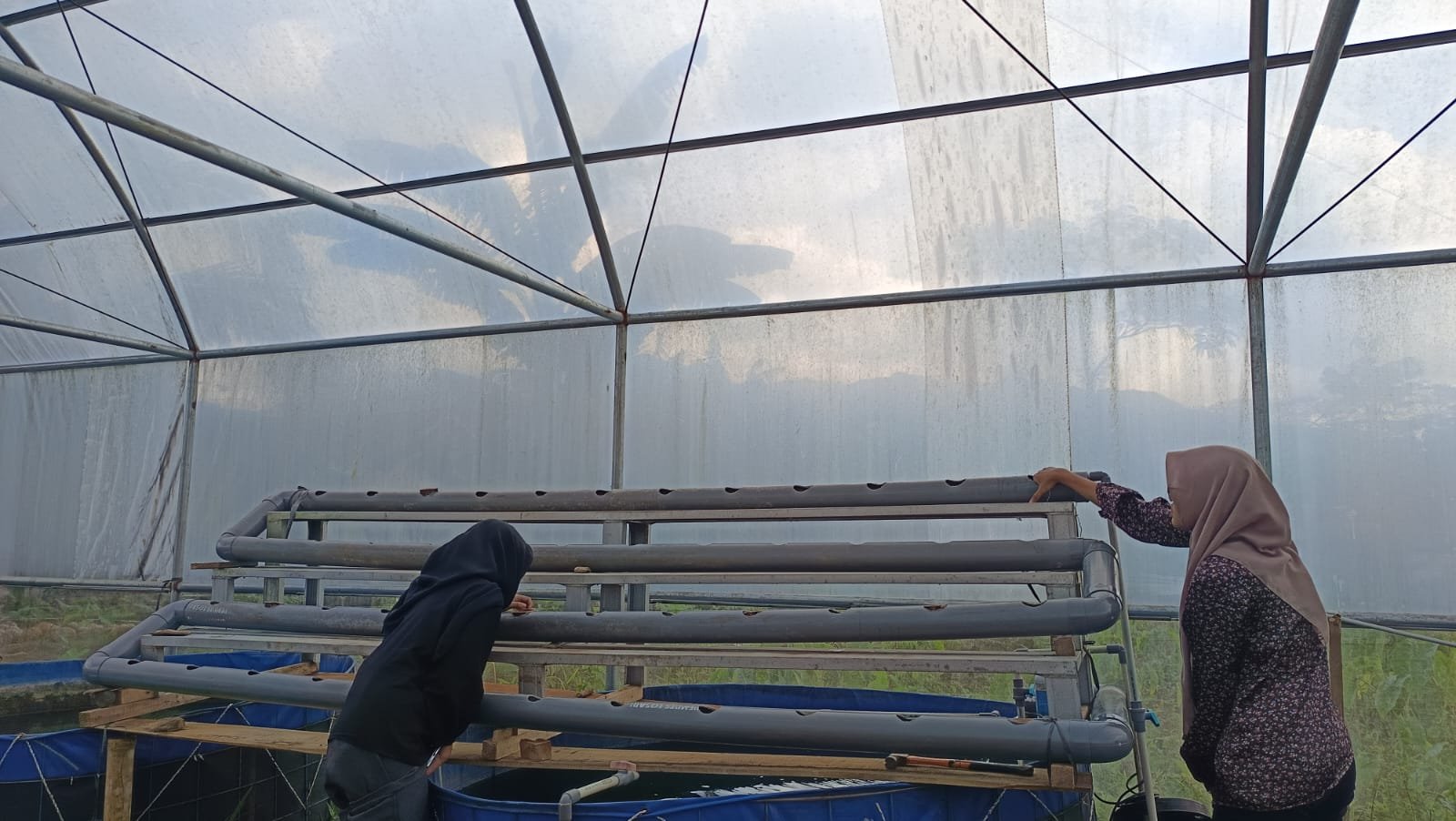 Monitoring Aquaponik