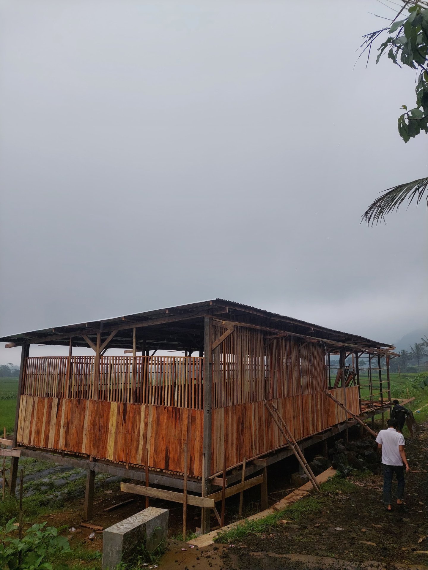 Kegiatan Pendampingan Pembangunan Kandang BUMDes