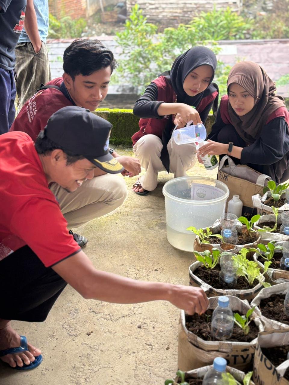 Kunjungan SMP, monitoring demplot dan evaluasi, pendampingan NIB