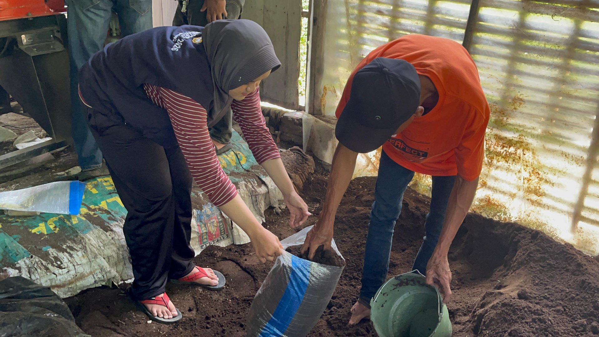 Pengemasan Pupuk Organik Padat di Desa Dondong